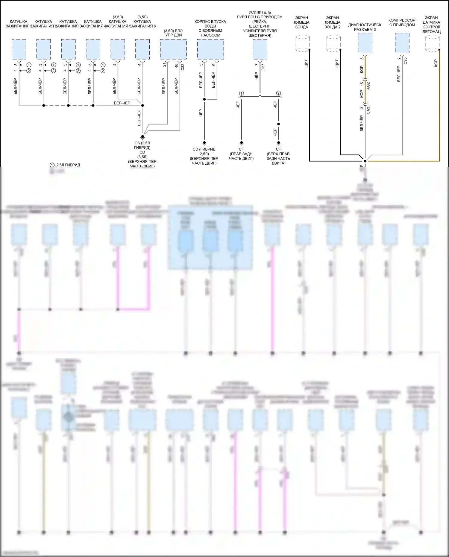 ES Lexus XV70 (2018-2021): Электросхема точек подключения масс (3 из 5) 