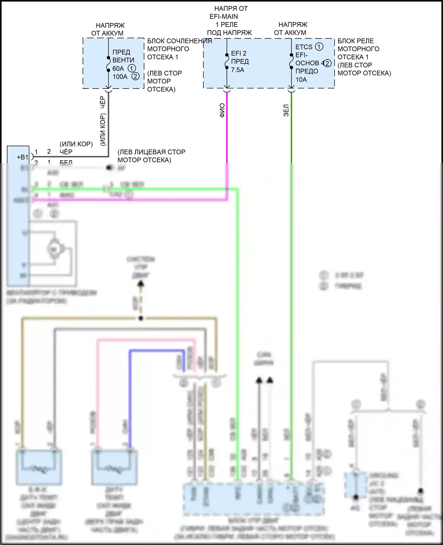 ES Lexus XV70 (2018-2021): Электросхема вентилятора охлаждения 
