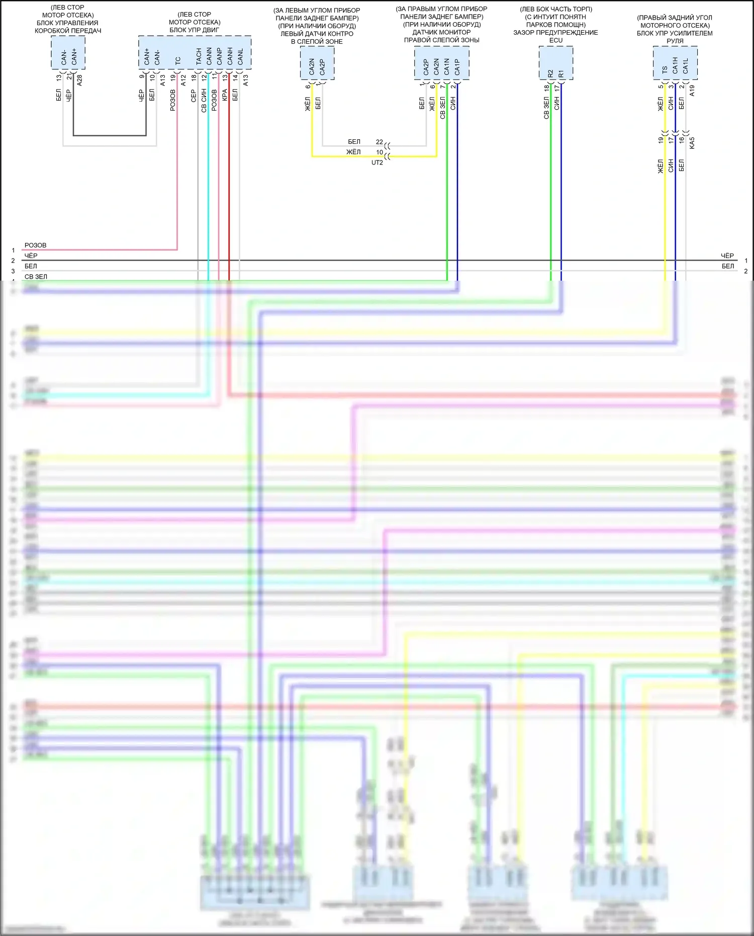 GS F Lexus I (2015-2020): Can шина электросхема (4 из 6) 