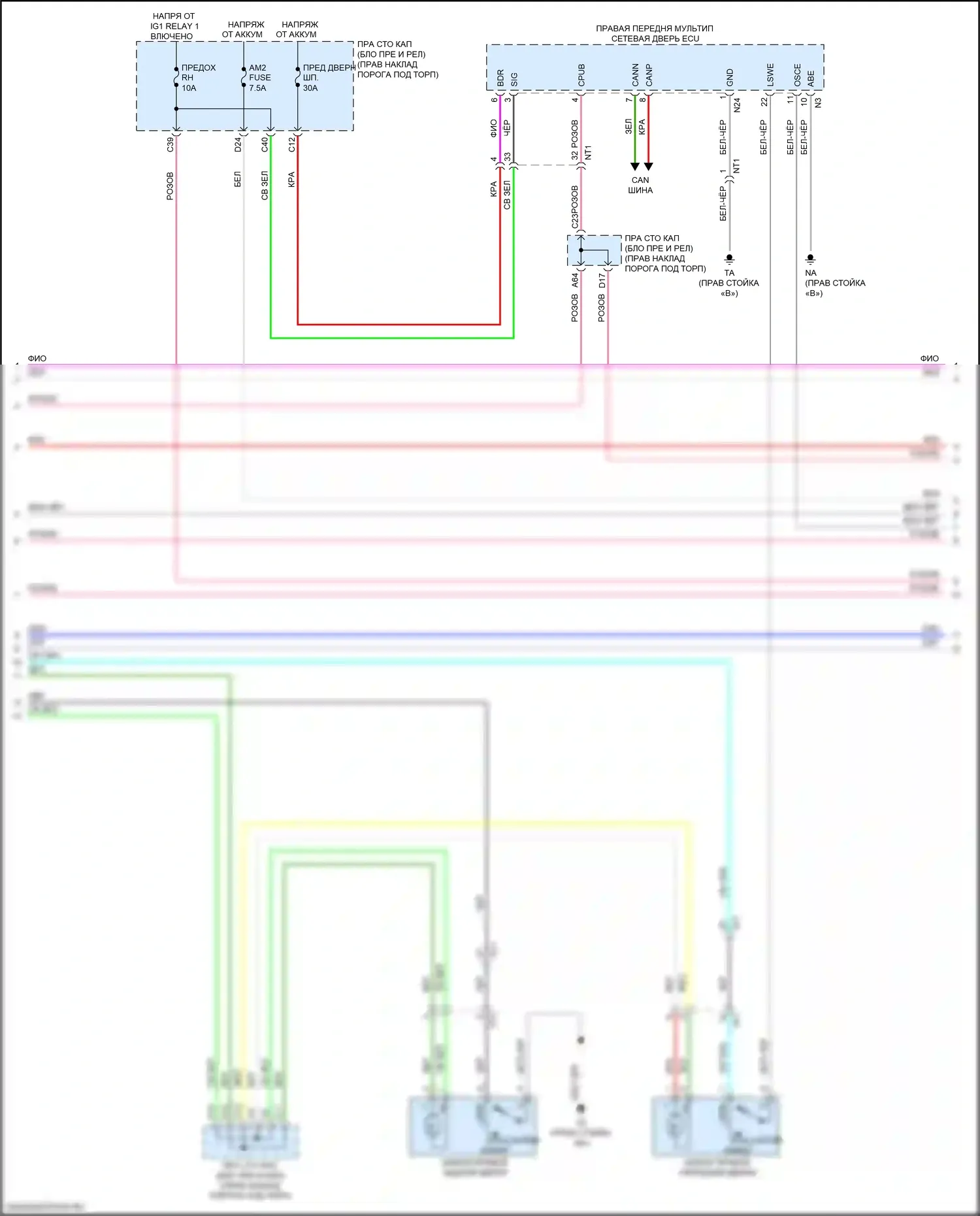 GS F Lexus I (2015-2020): Электросхема защиты от взлома (4 из 8) 