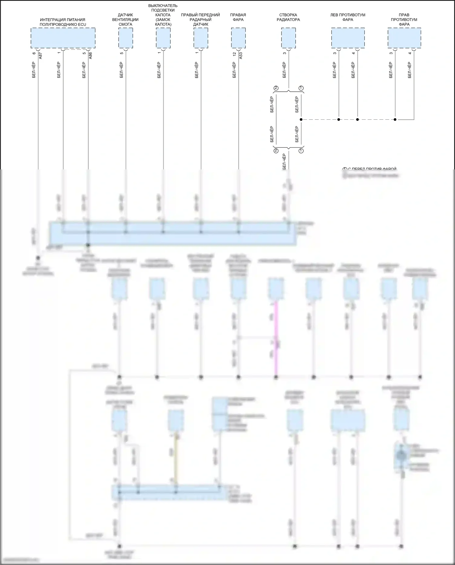 GX Lexus J310 (2023-2024): Электросхема разводки массы (4 из 11) 