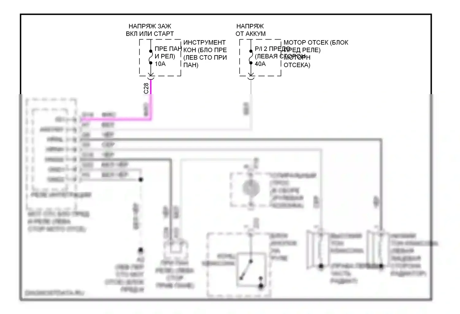 HS Lexus I (2009-2012): Электросхема клаксона 
