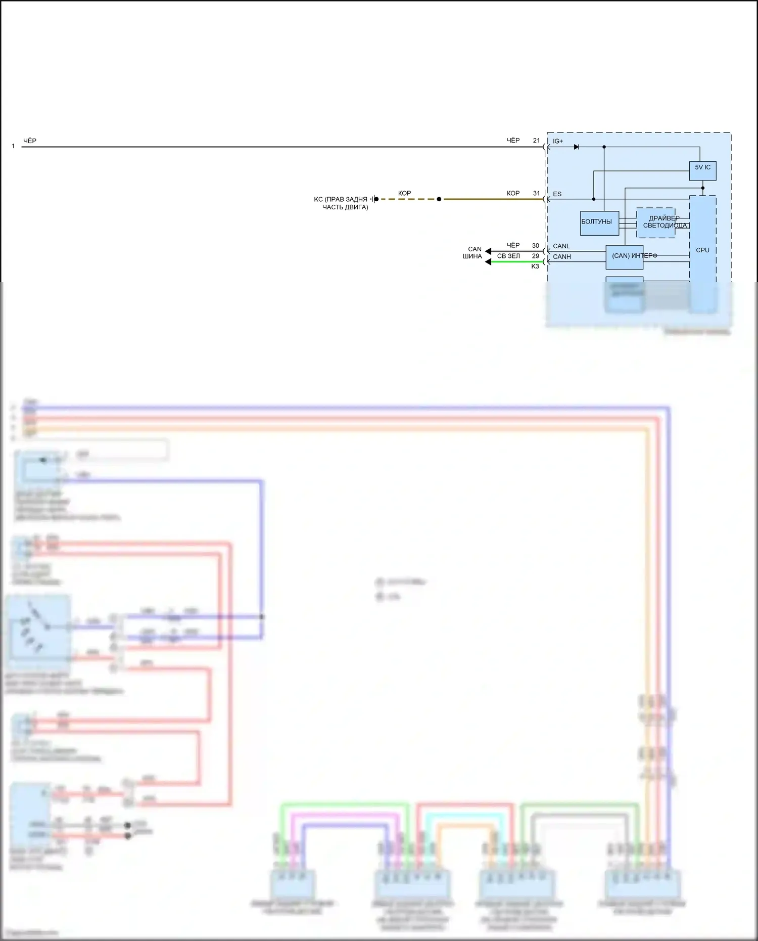 IS Lexus III рестайлинг 2 (2020-2024): Электросхема заднего гидролокатора (2 из 2) 