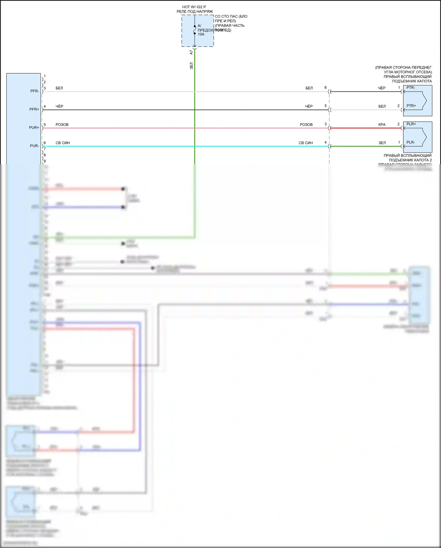 LC Lexus I (2016-2024): Электросхема системы защиты пешеходов 