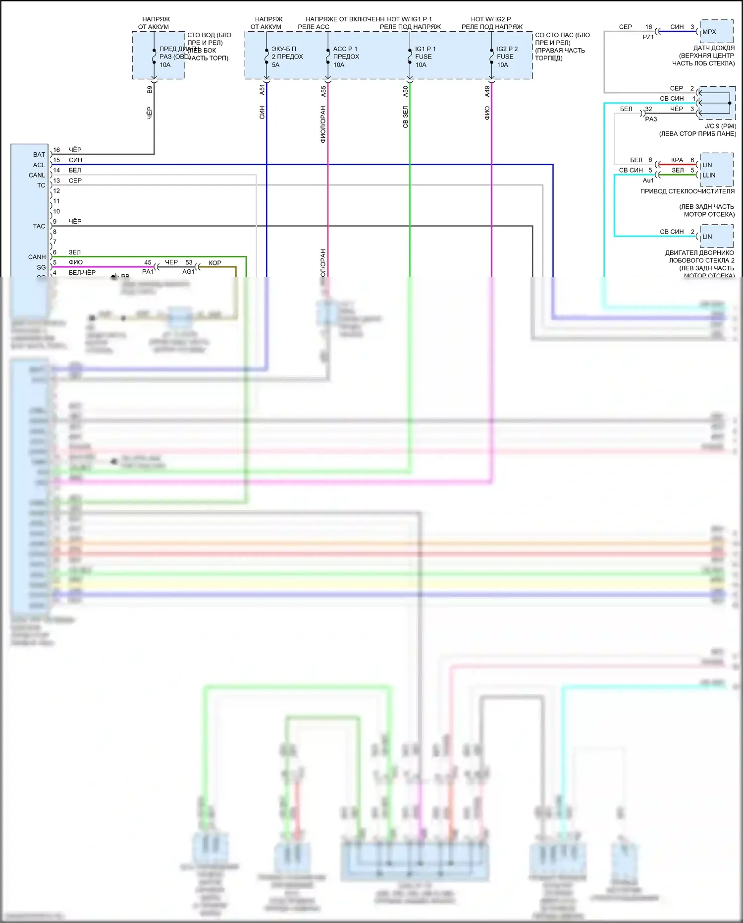 LC Lexus I (2016-2024): Can шина электросхема (1 из 7) 