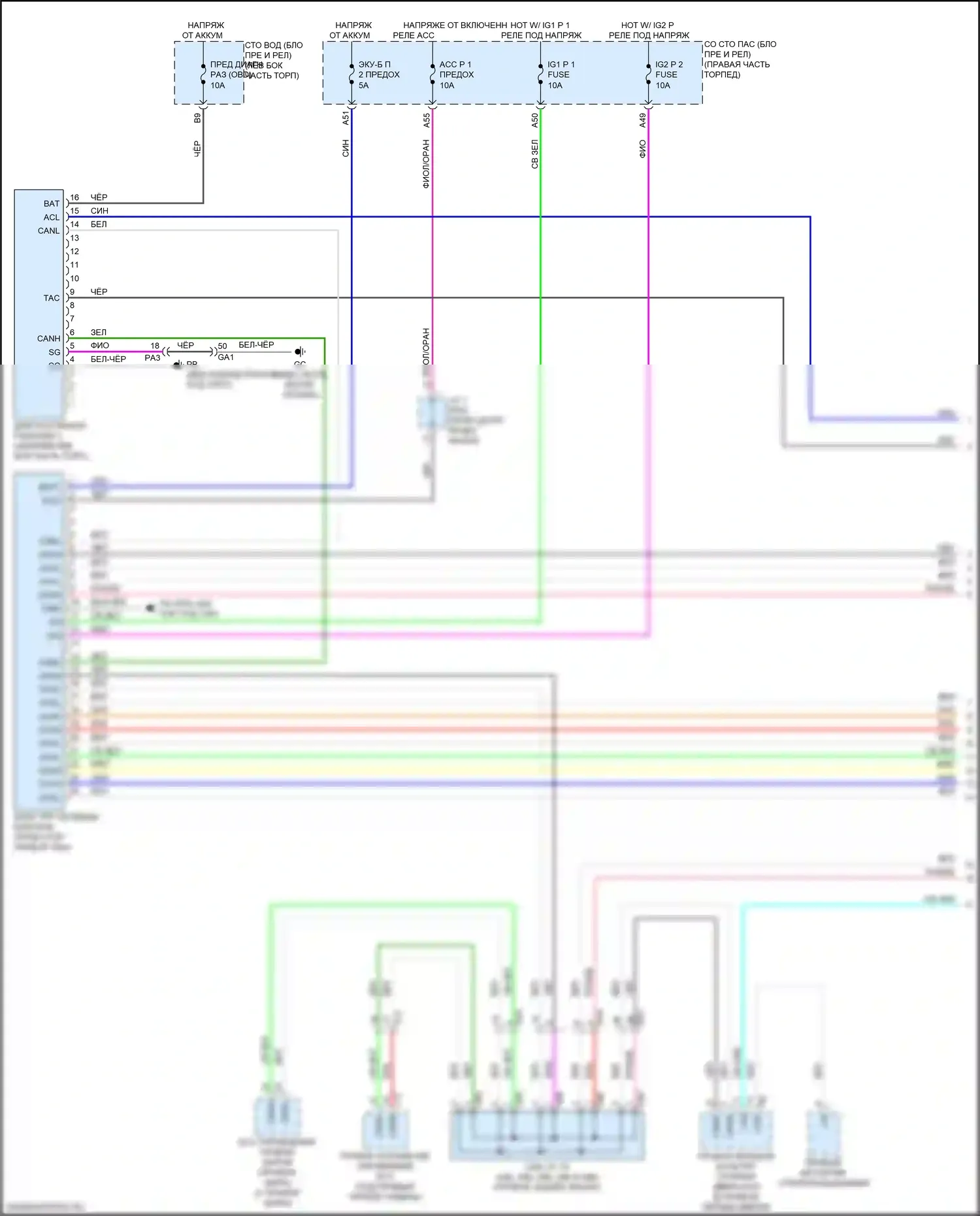 LC Lexus I (2016-2024): Can шина электросхема (1 из 8) 