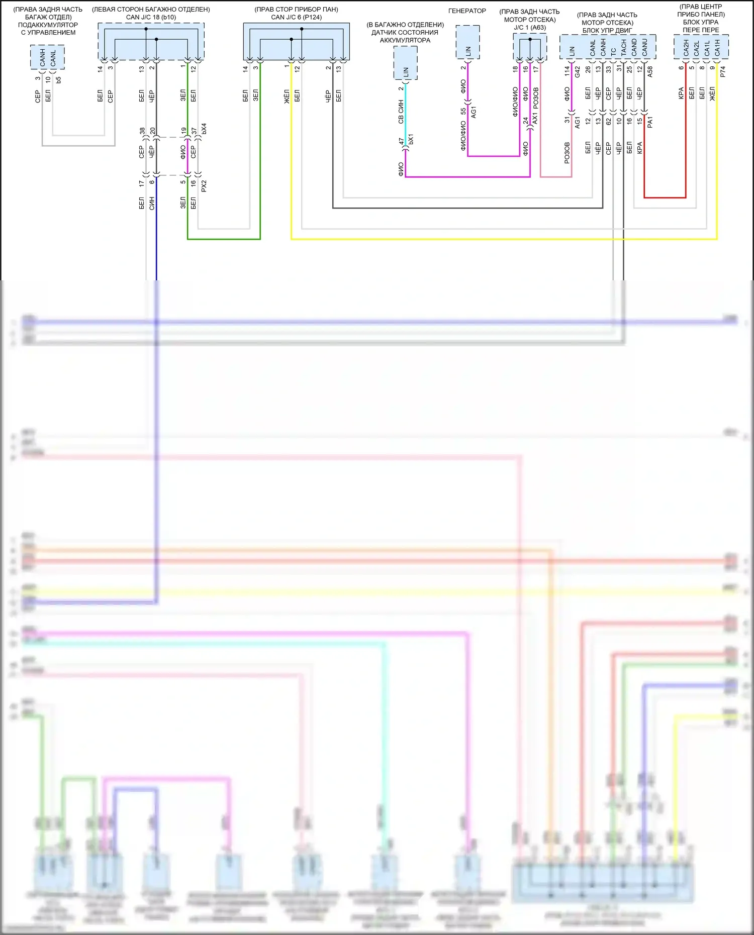 LC Lexus I (2016-2024): Can шина электросхема (4 из 7) 