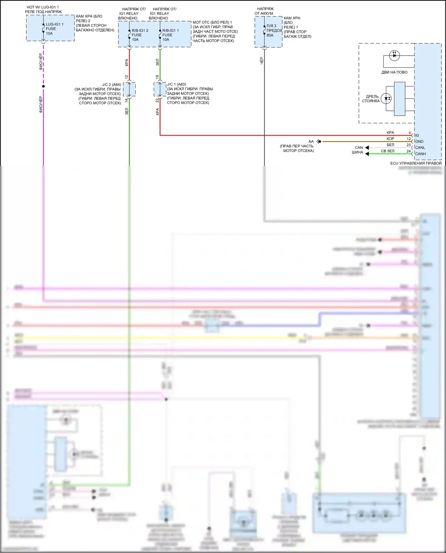 LC Lexus I (2016-2024): Электросхема фар и фонарей (4 из 4) 
