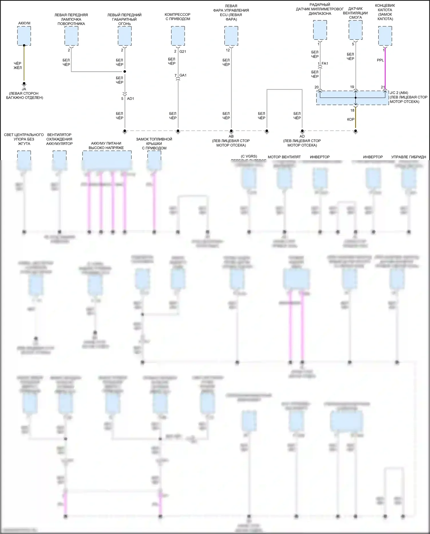 LC Lexus I (2016-2024): Электросхема разводки массы (1 из 7) 