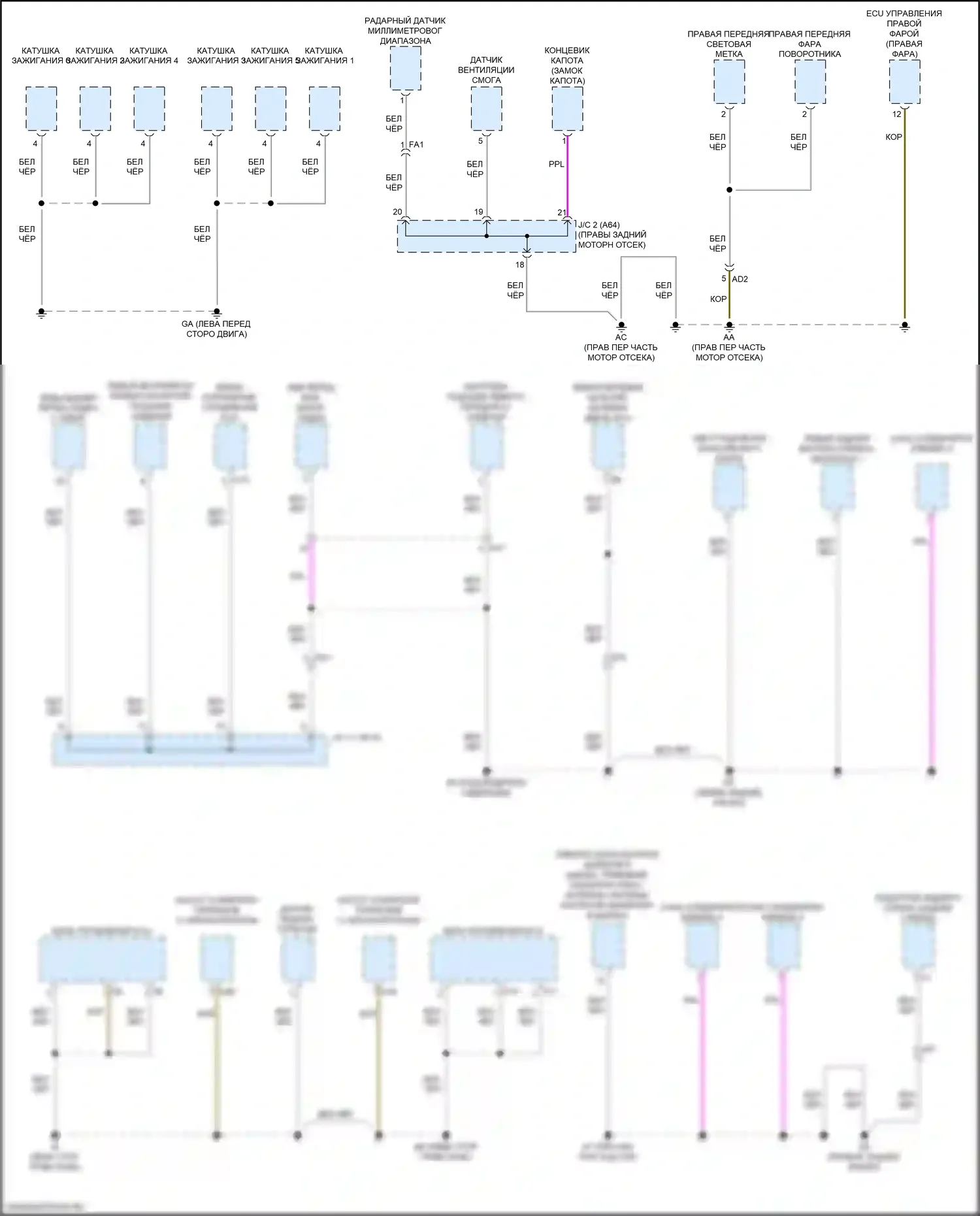 LC Lexus I (2016-2024): Электросхема разводки массы (2 из 6) 