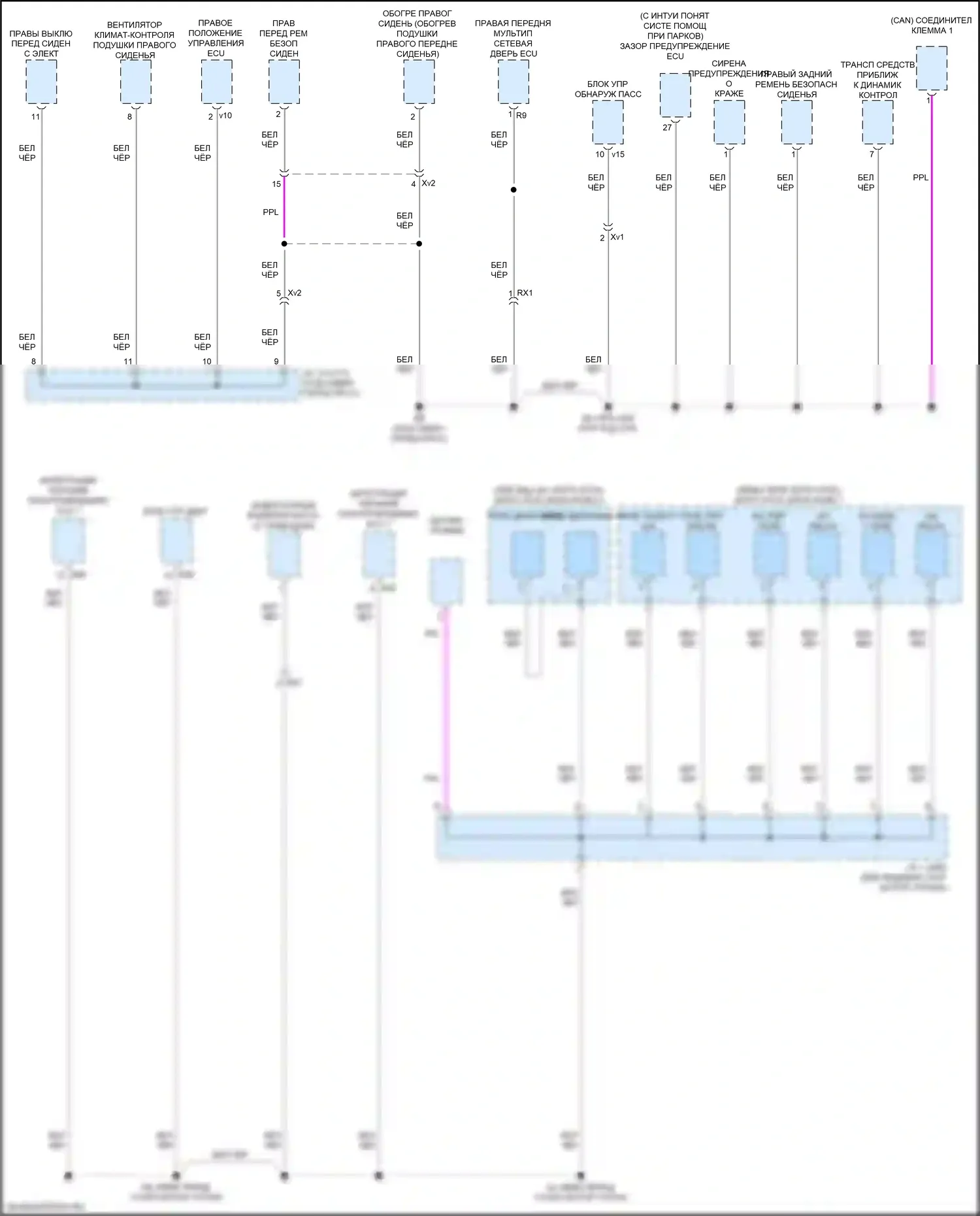 LC Lexus I (2016-2024): Электросхема разводки массы (3 из 7) 
