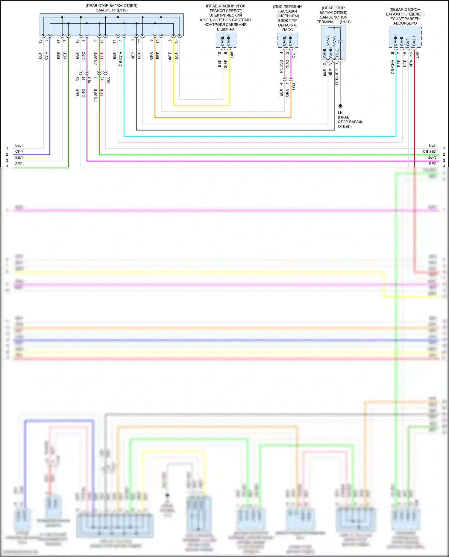 LS Lexus V рестайлинг (2021-2024): Can шина электросхема, без усовершенствованной системы парковки (5 из 9) 
