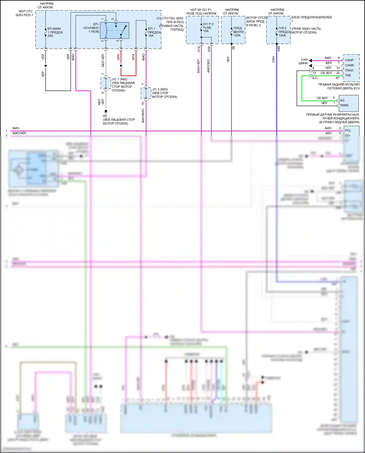 LS Lexus V рестайлинг (2021-2024): Электросхема климат контроля (2 из 4) 