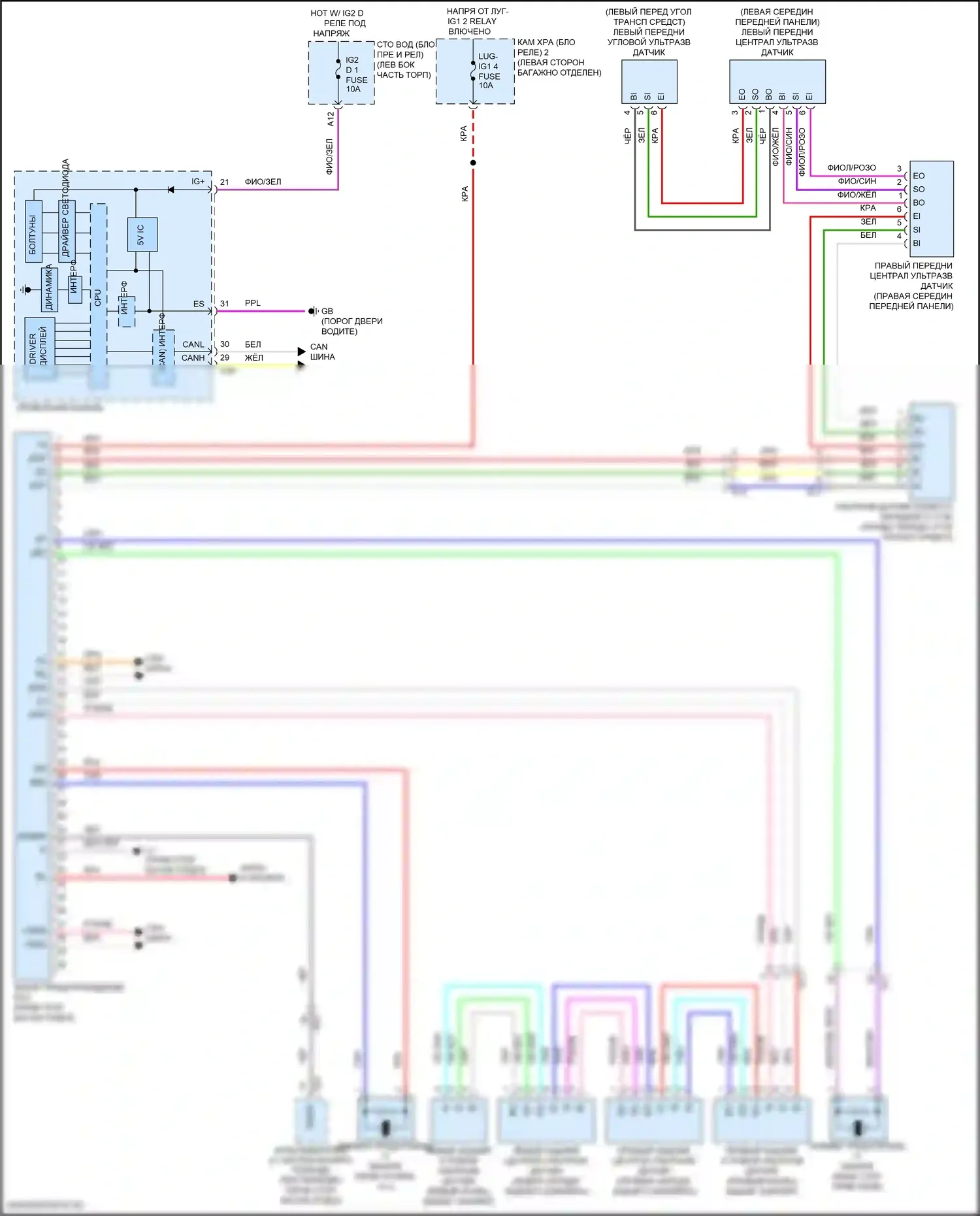 LS Lexus V рестайлинг (2021-2024): Электросхема заднего гидролокатора 