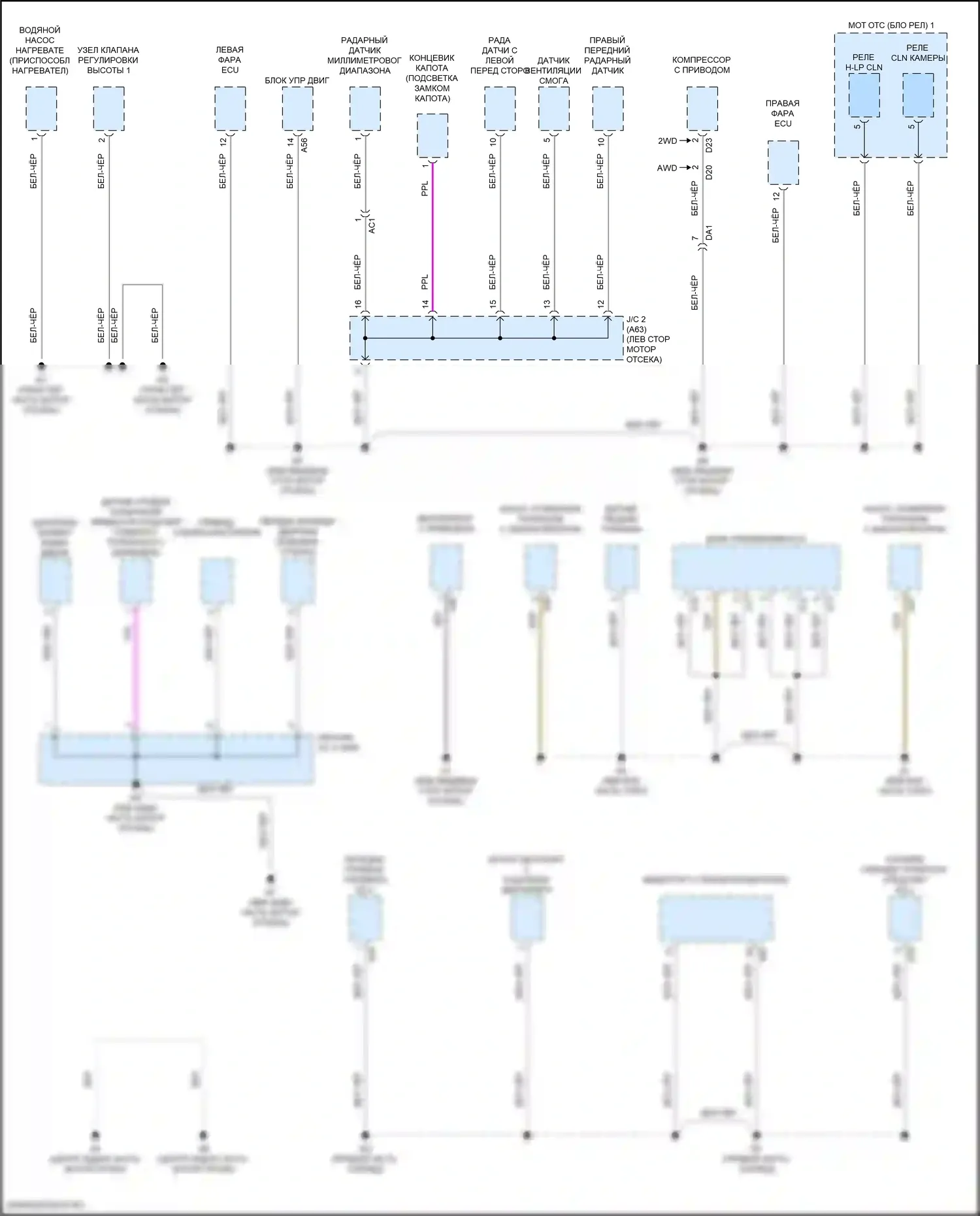 LS Lexus V рестайлинг (2021-2024): Электросхема разводки массы (1 из 10) 