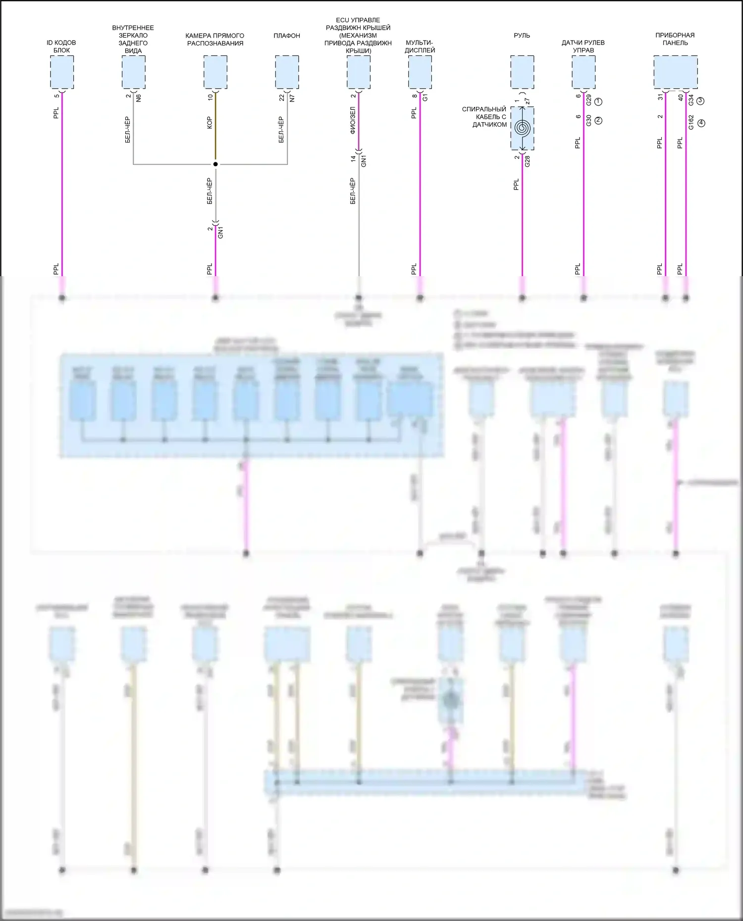 LS Lexus V рестайлинг (2021-2024): Электросхема разводки массы (4 из 10) 