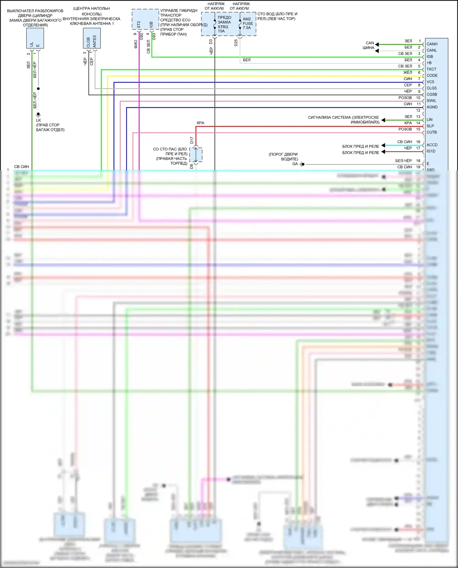 LS Lexus V рестайлинг (2021-2024): Электросхема центрального замка (6 из 6) 