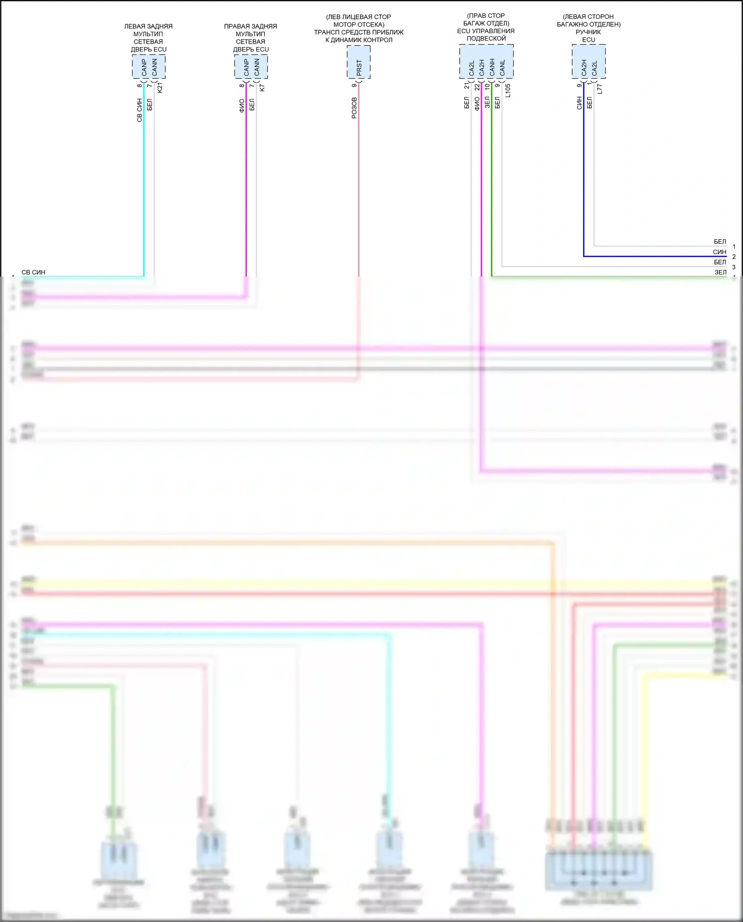 LS Lexus V (2017-2021): Can шина электросхема (4 из 9) 