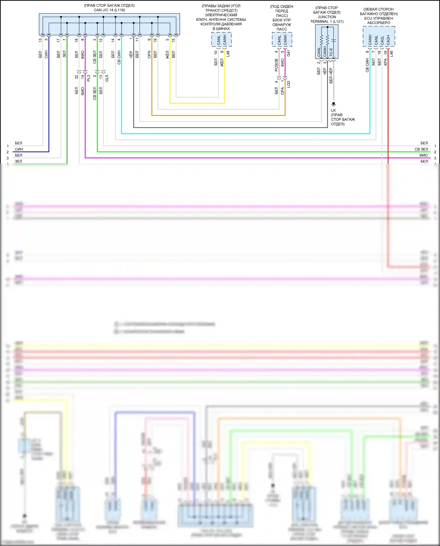 LS Lexus V (2017-2021): Can шина электросхема (5 из 9) 