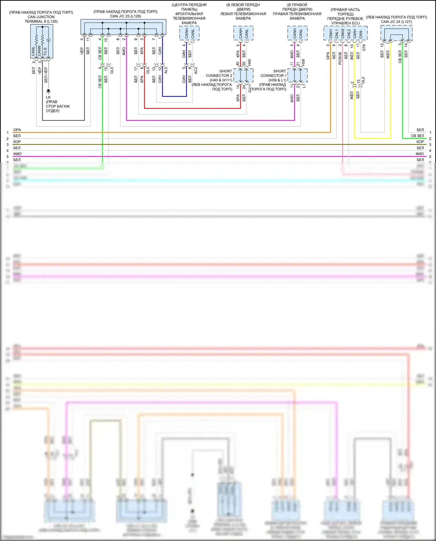 LS Lexus V (2017-2021): Can шина электросхема (7 из 9) 