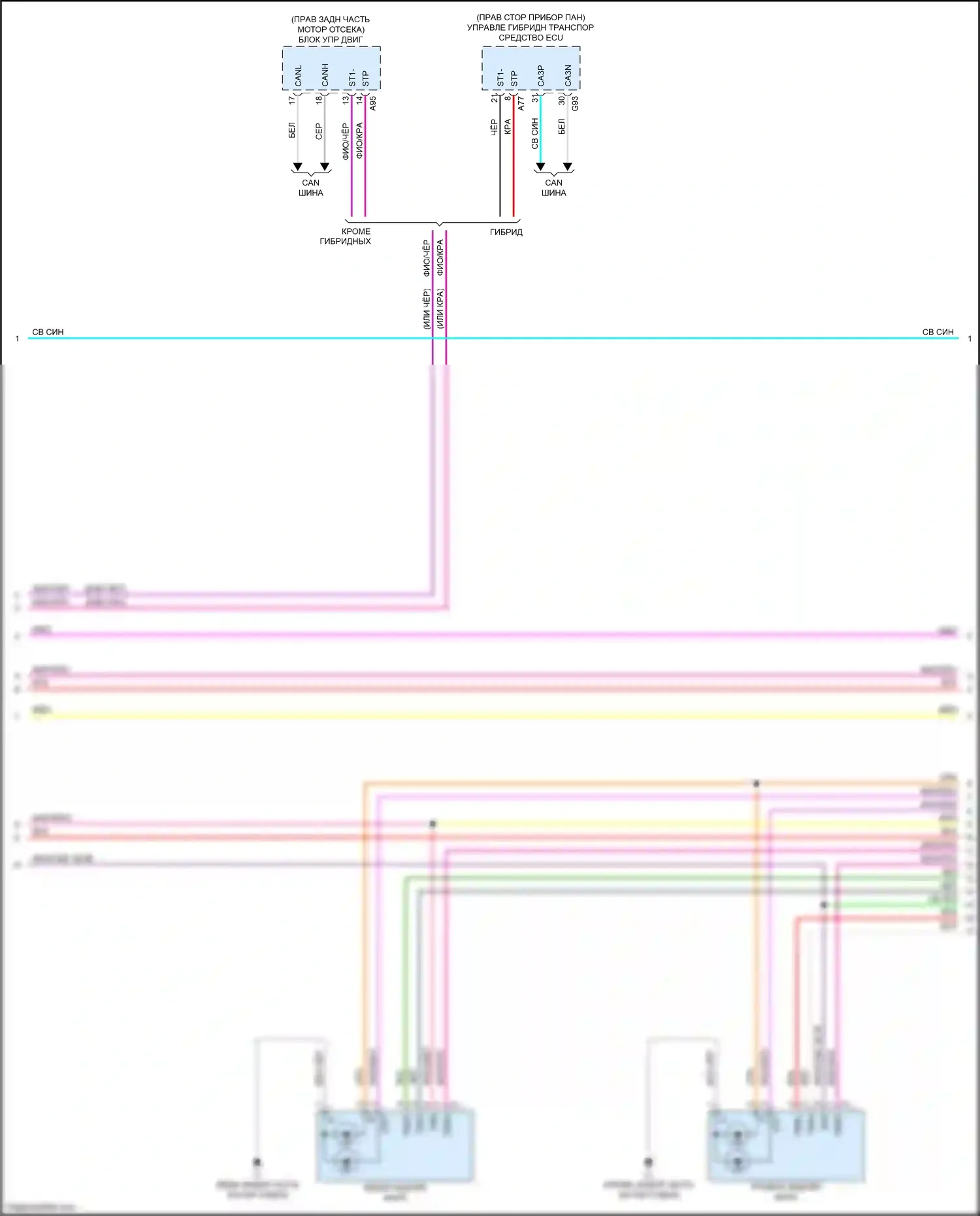 LS Lexus V (2017-2021): Электросхема фар и фонарей (3 из 5) 