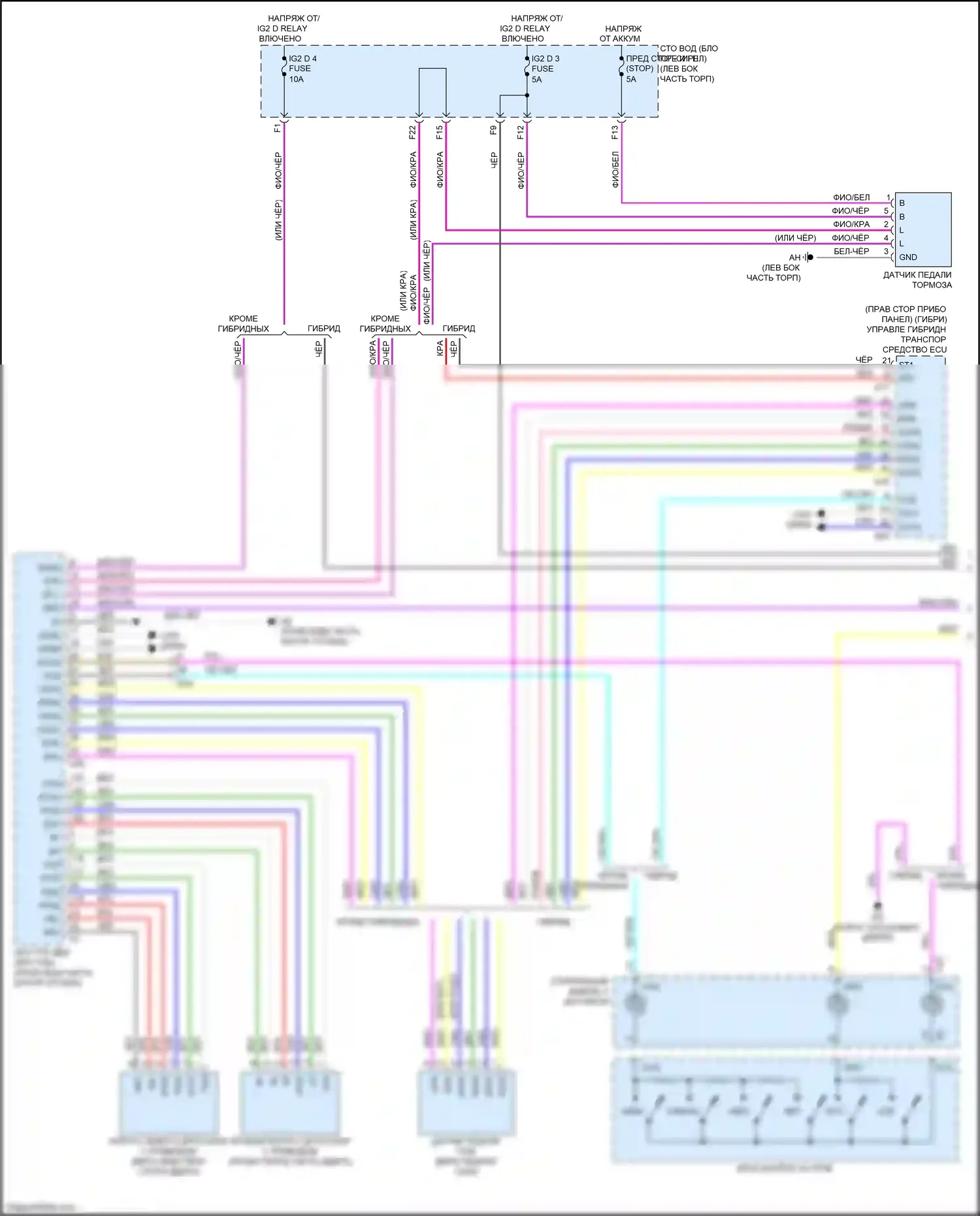 LS Lexus V (2017-2021): Электросхема круиз-контроля (1 из 3) 