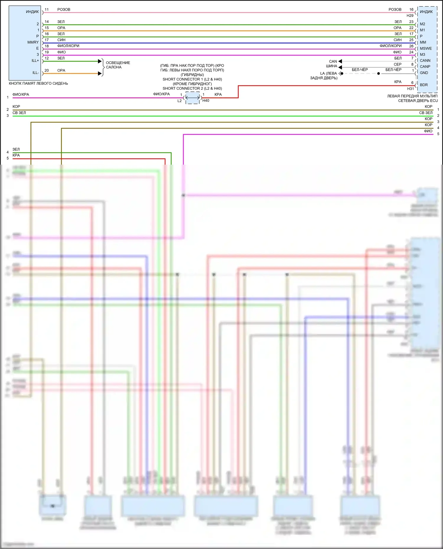 LS Lexus V (2017-2021): Электросхема памяти заднего сиденья (2 из 5) 