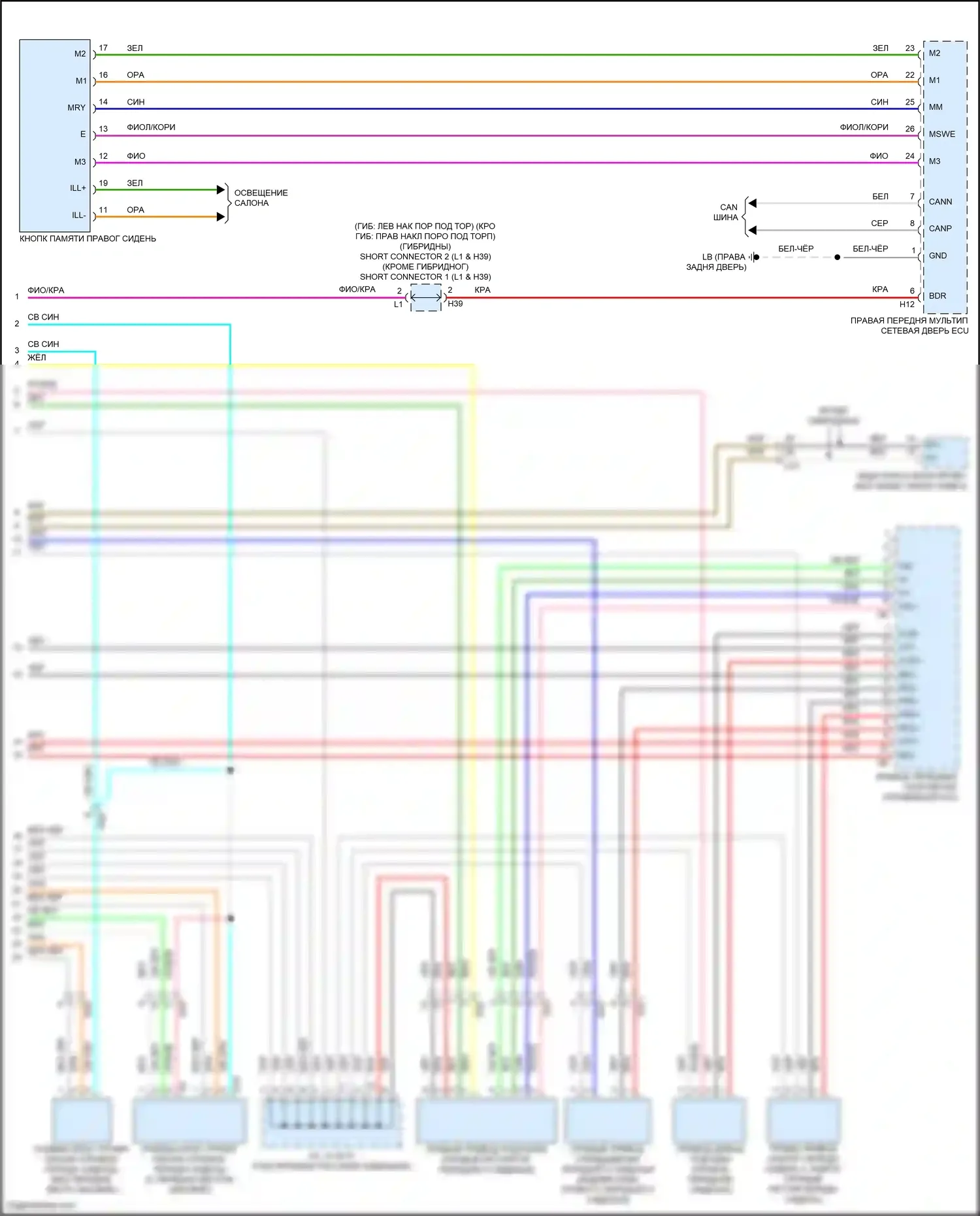 LS Lexus V (2017-2021): Электросхема сиденья памяти пассажира (2 из 2) 