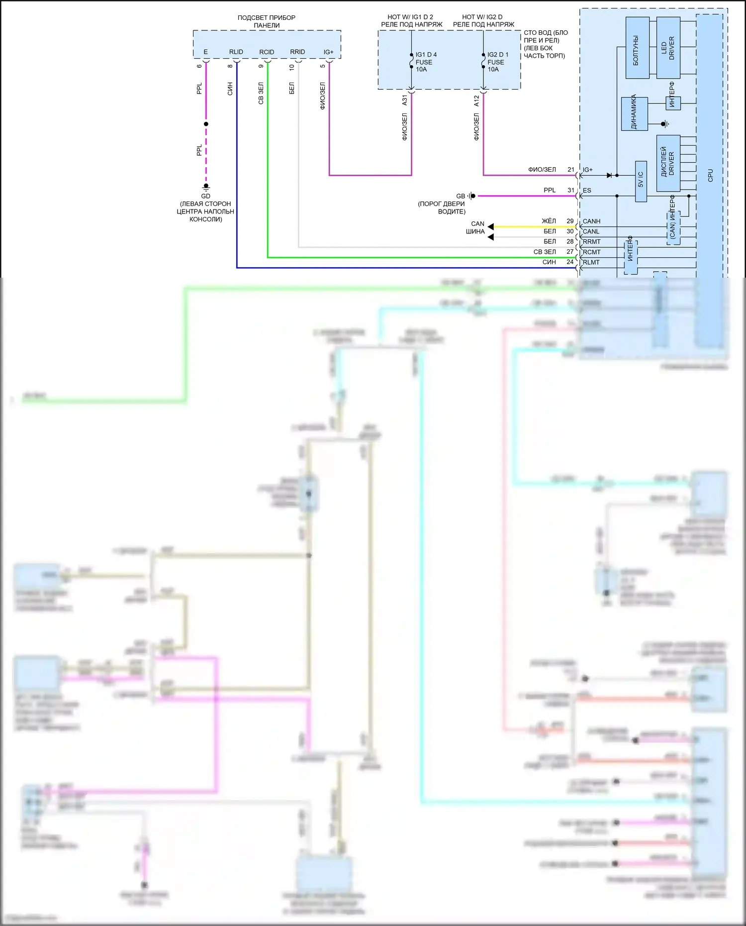 LS Lexus V (2017-2021): Электросхема предупредительного ремня безопасности (2 из 2) 