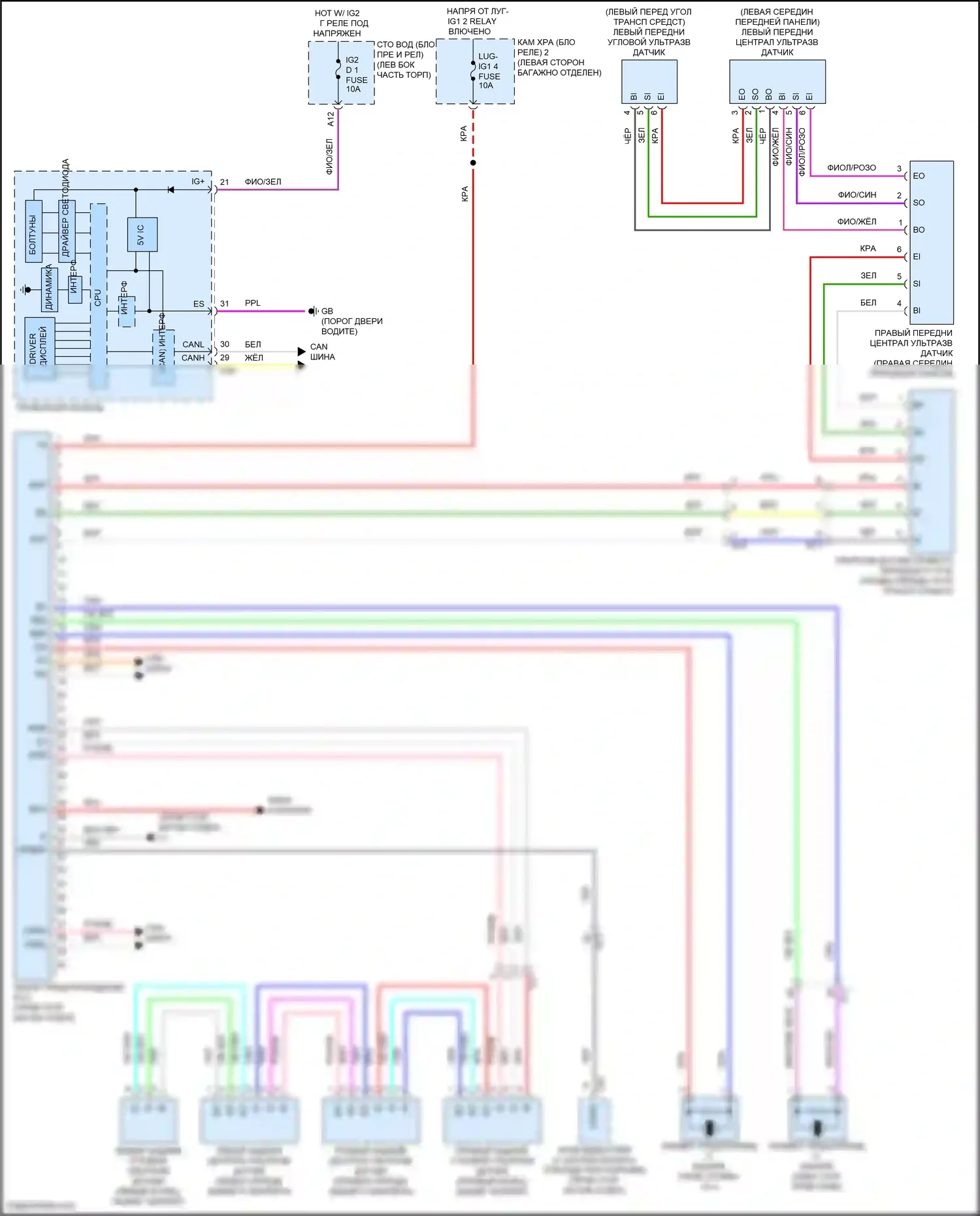 LS Lexus V (2017-2021): Электросхема заднего гидролокатора 