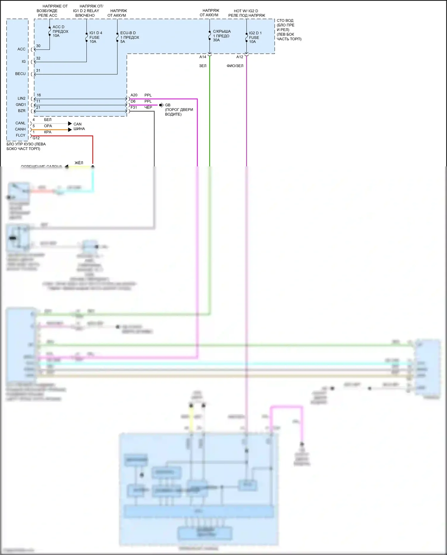 LS Lexus V (2017-2021): Электросхема люка 