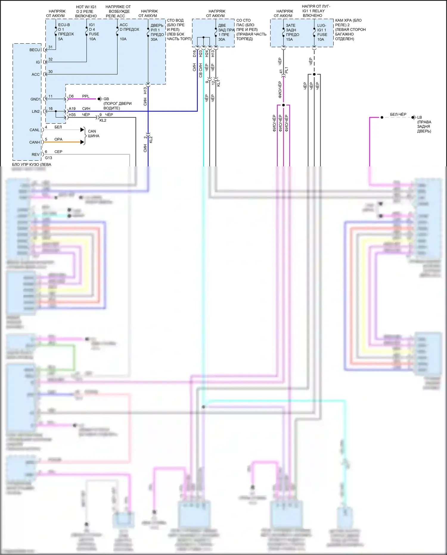 LS Lexus V (2017-2021): Электросхема солнцезащитного козырька заднего стекла 