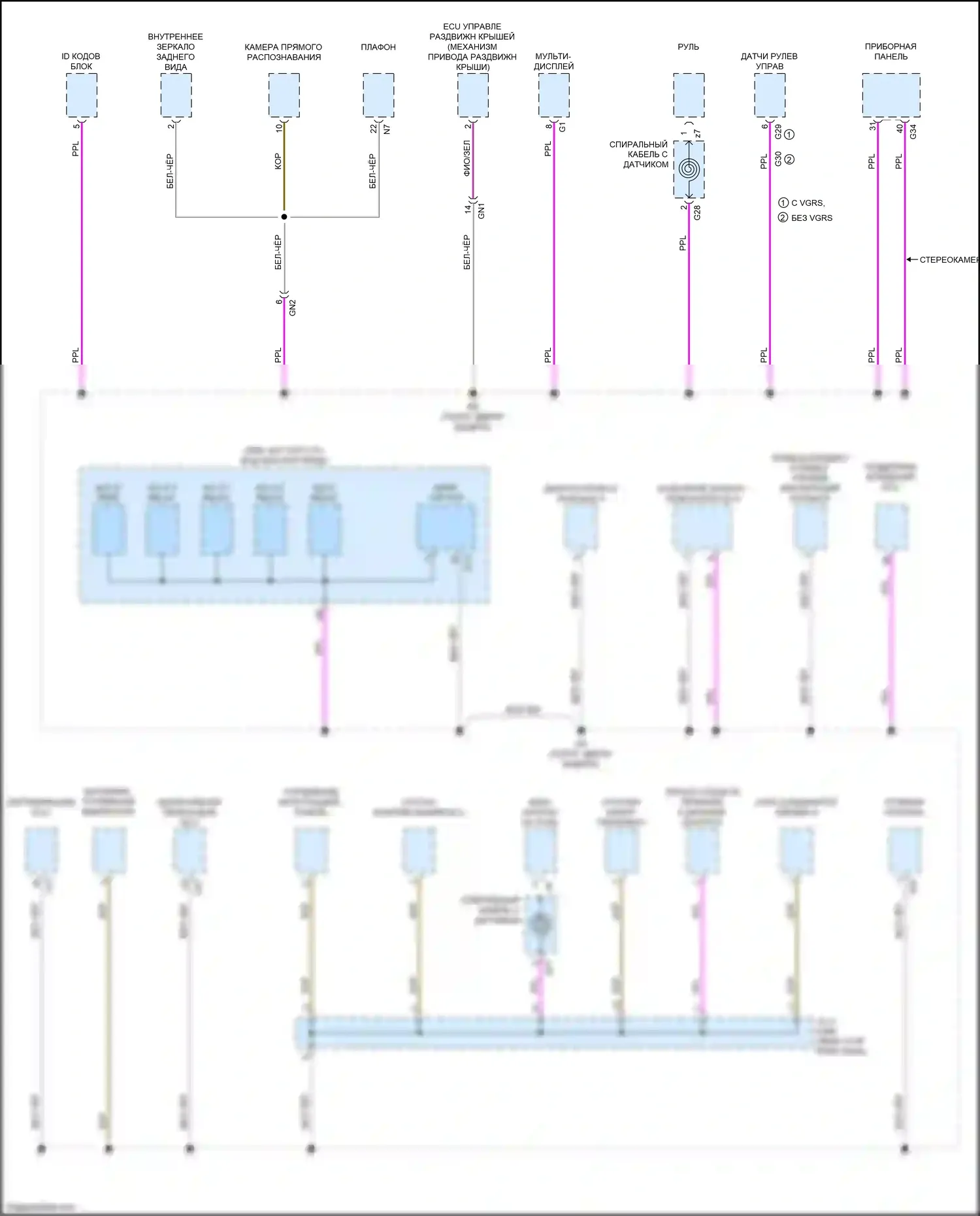 LS Lexus V (2017-2021): Электросхема разводки массы (4 из 10) 