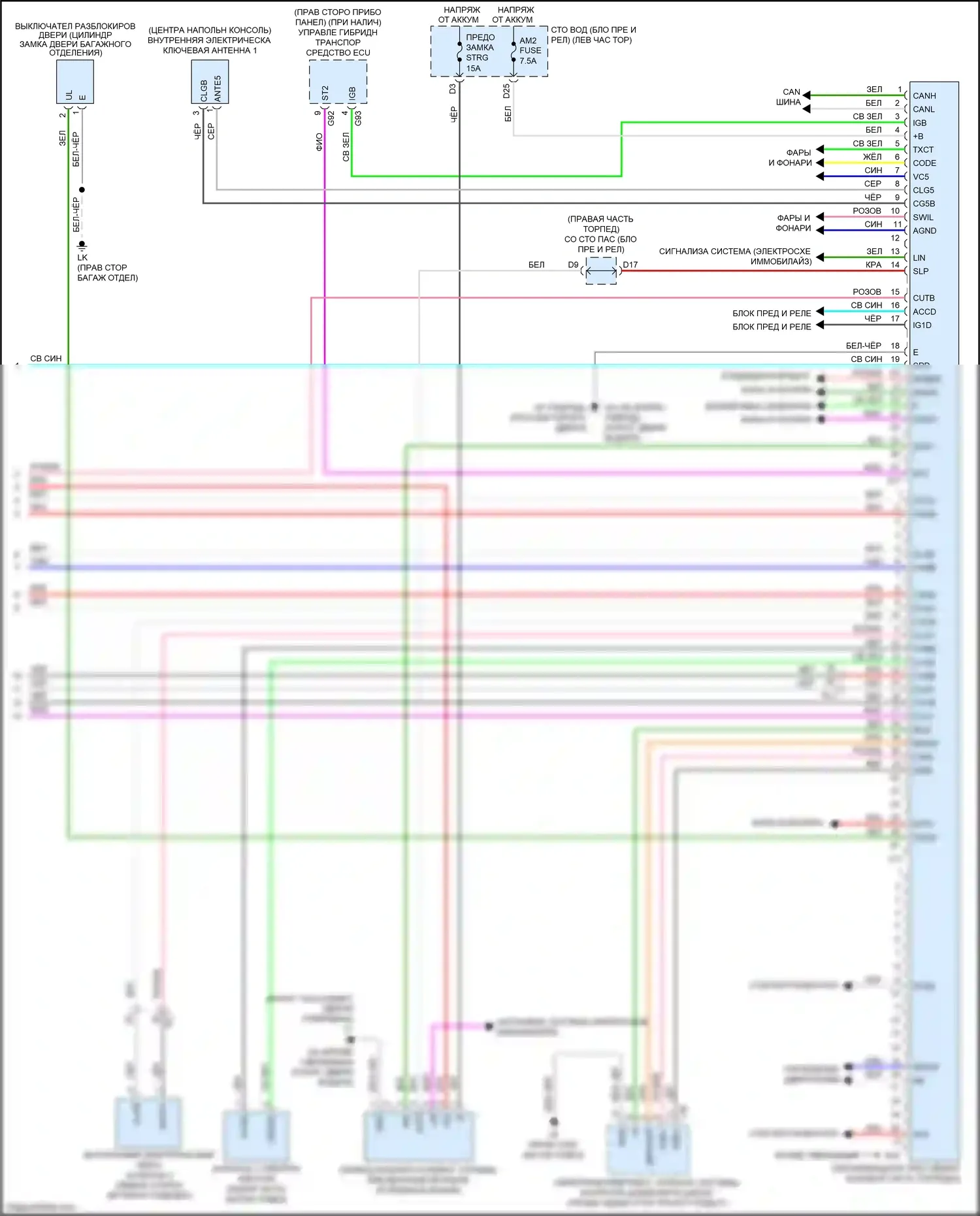 LS Lexus V (2017-2021): Электросхема центрального замка (6 из 6) 