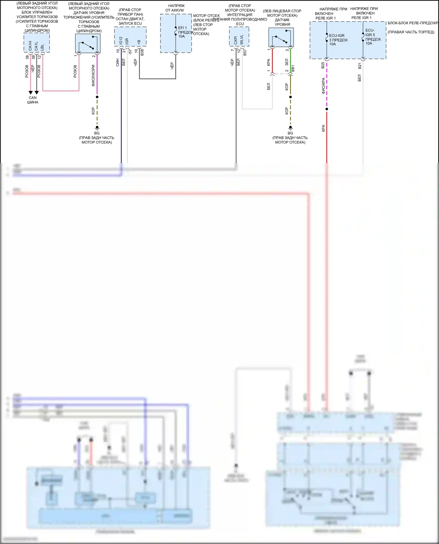 LX Lexus J300 (2021-2024): Электросхема предупредительного ремня безопасности (2 из 2) 