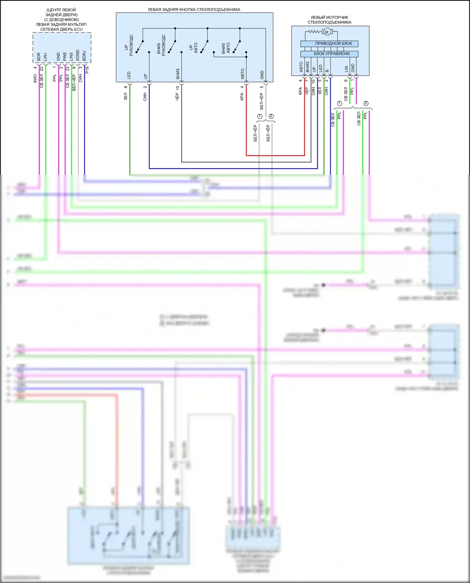 LX Lexus J300 (2021-2024): Стеклоподъемники электросхема (4 из 4) 