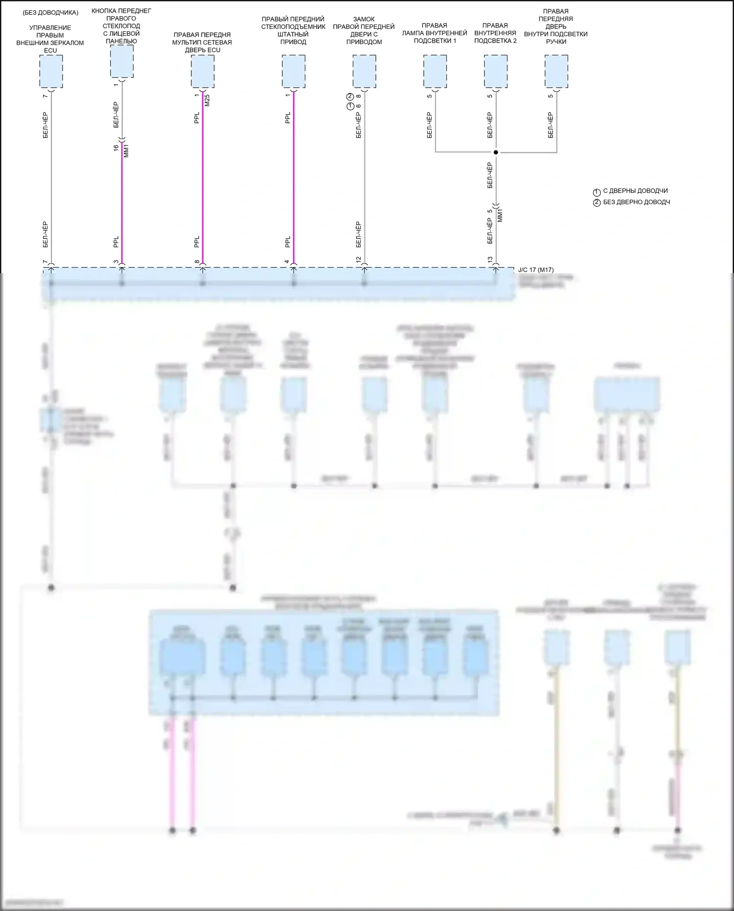 LX Lexus J300 (2021-2024): Электросхема разводки массы (6 из 11) 