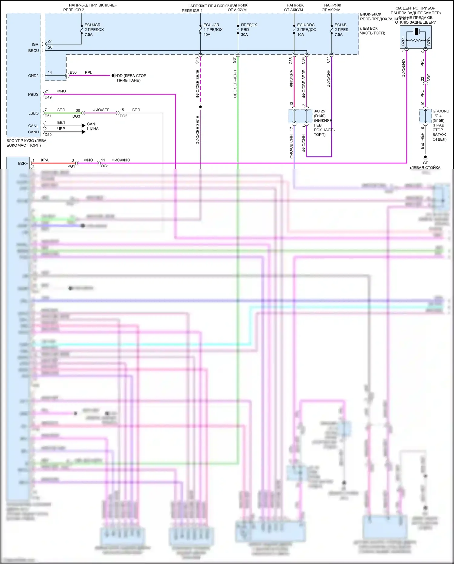 NX Lexus AZ20 (2021-2024): Электросхема электромеханического замка задней двери с задней дверью (1 из 2) 