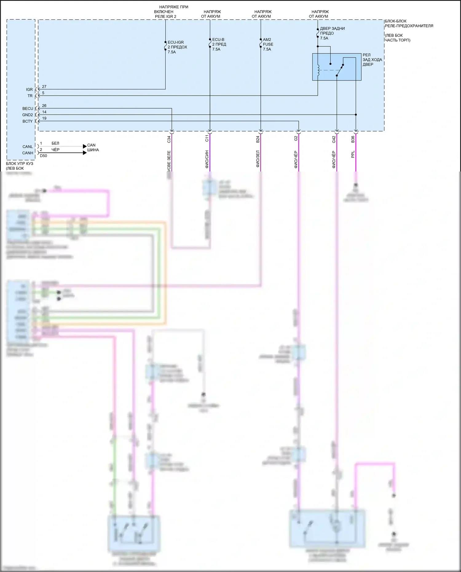 NX Lexus AZ20 (2021-2024): Электросхема открывателя задней двери, без задней двери питания 