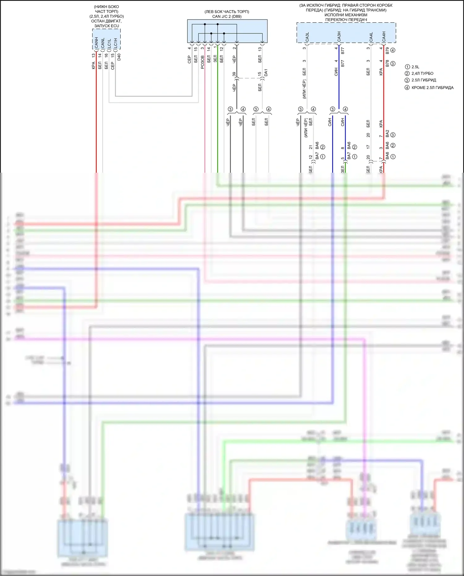 NX Lexus AZ20 (2021-2024): Can шина электросхема (7 из 9) 