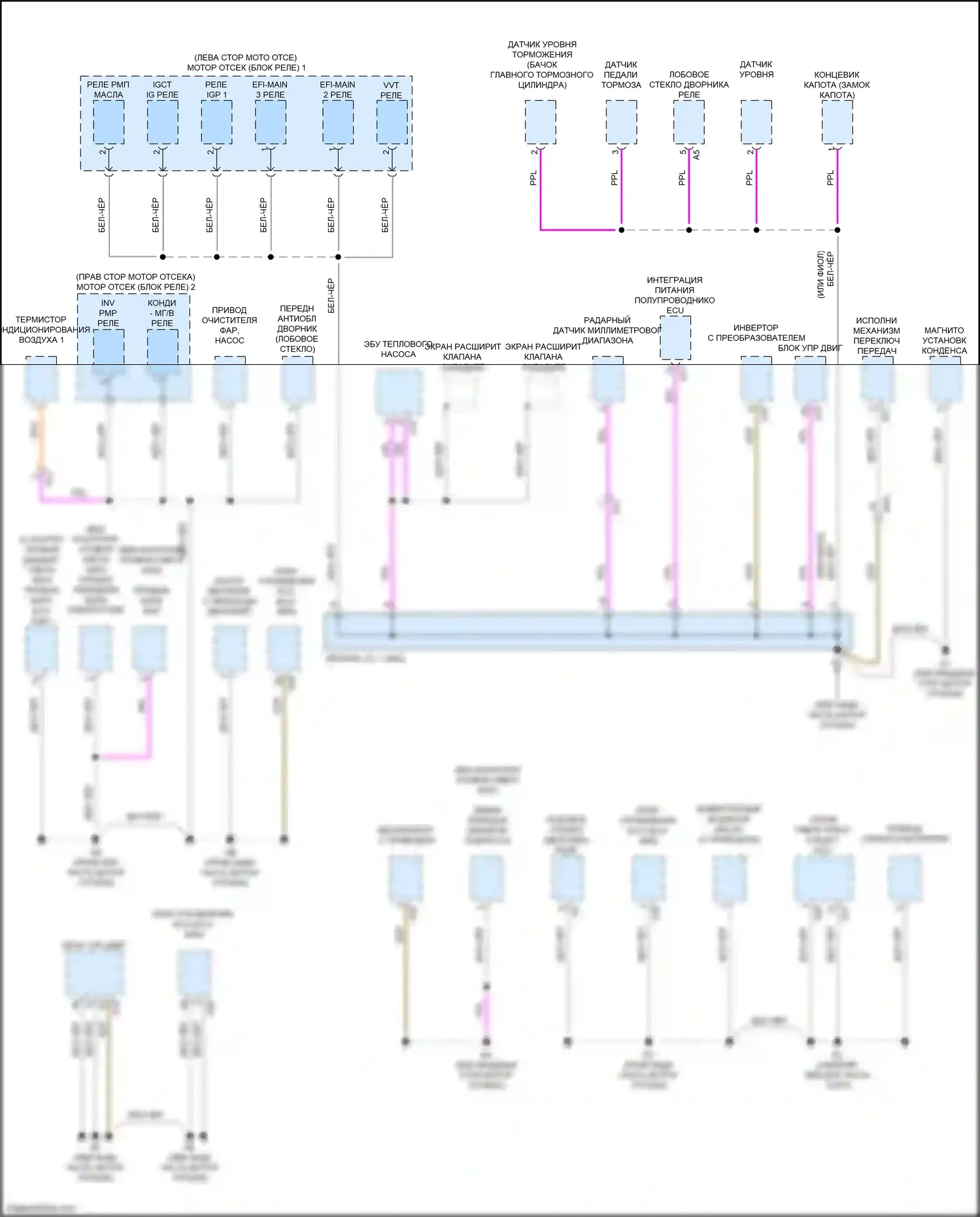NX Lexus AZ20 (2021-2024): Электросхема разводки массы (1 из 8) 