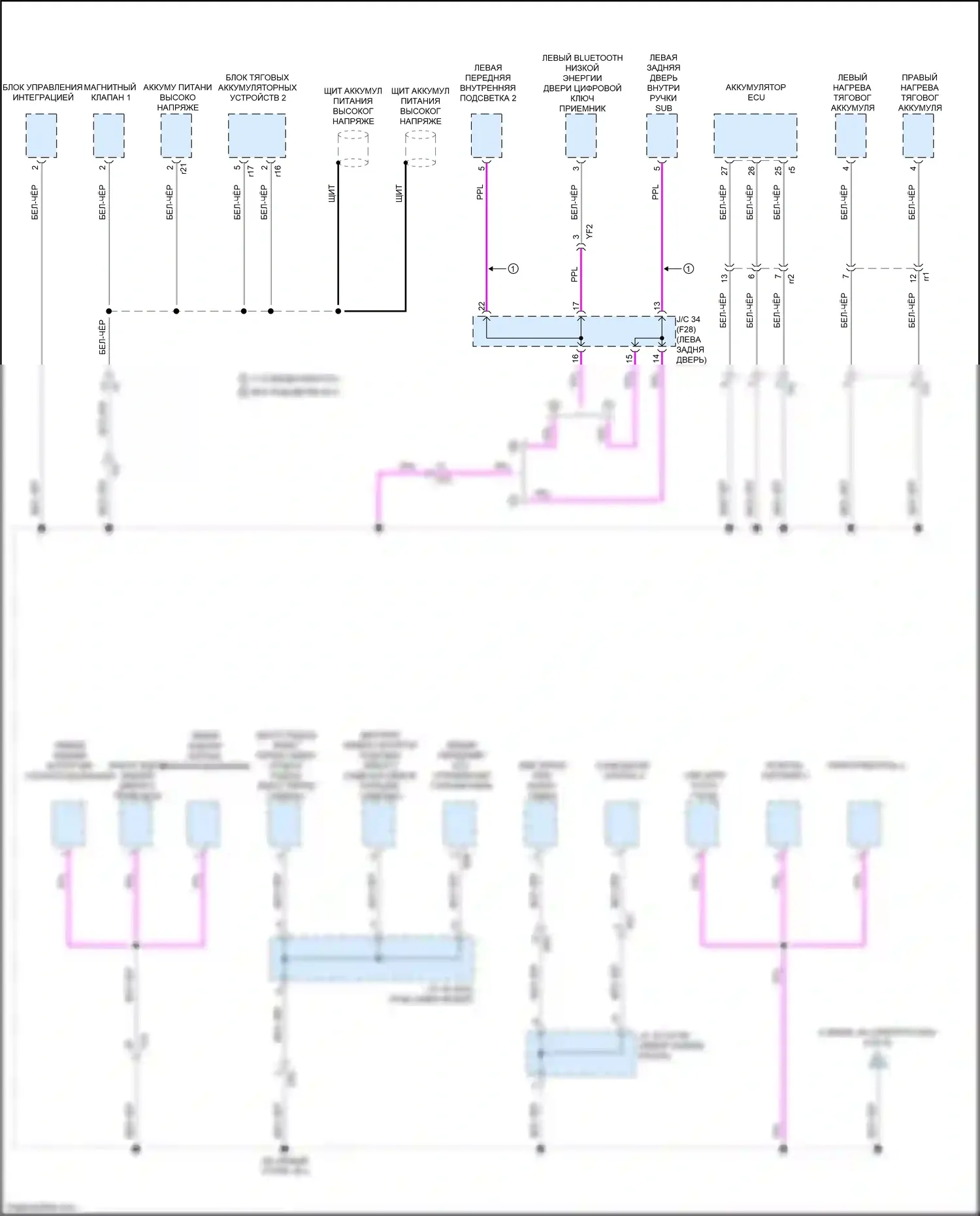 NX Lexus AZ20 (2021-2024): Электросхема разводки массы (7 из 8) 