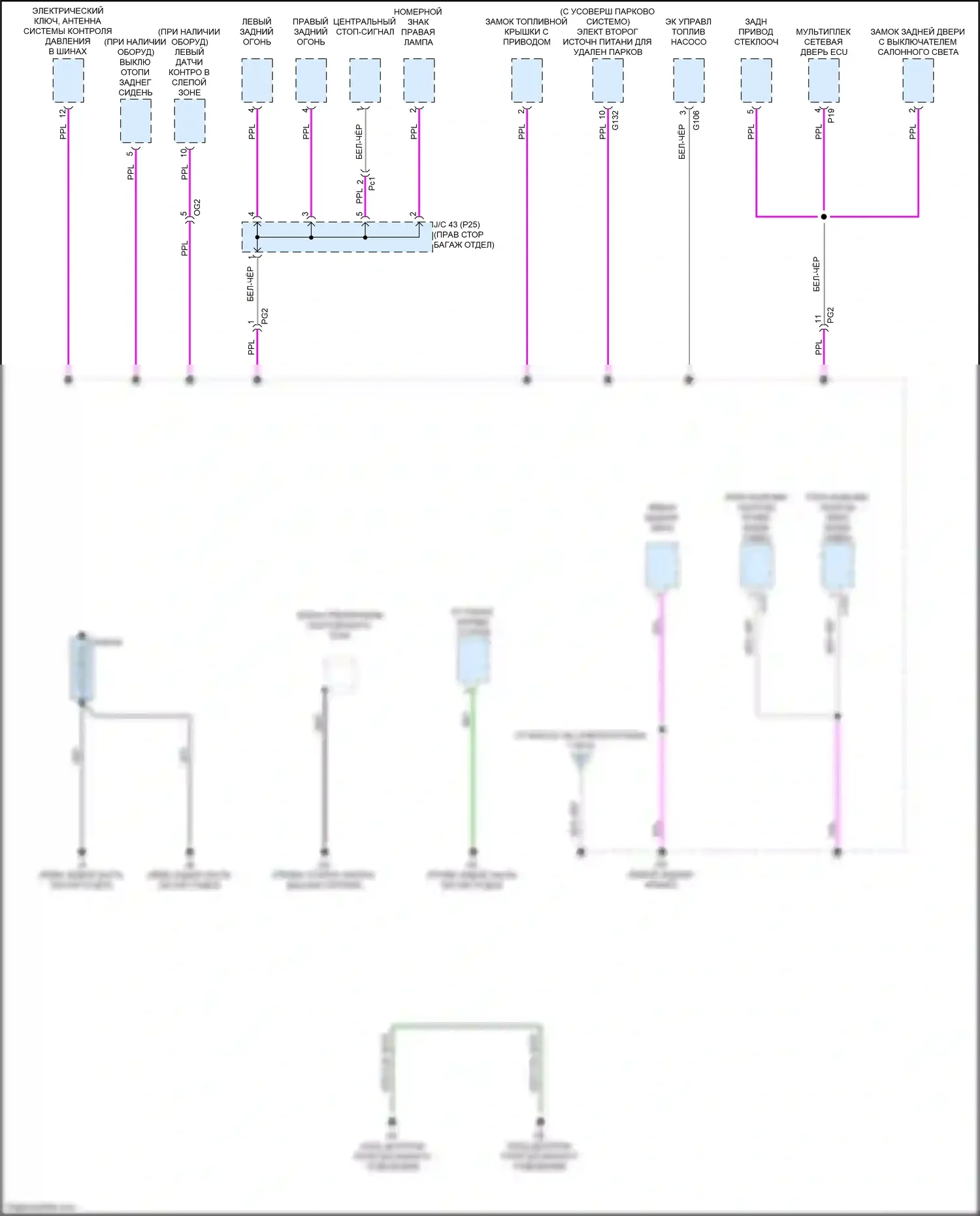 NX Lexus AZ20 (2021-2024): Электросхема разводки массы (8 из 8) 
