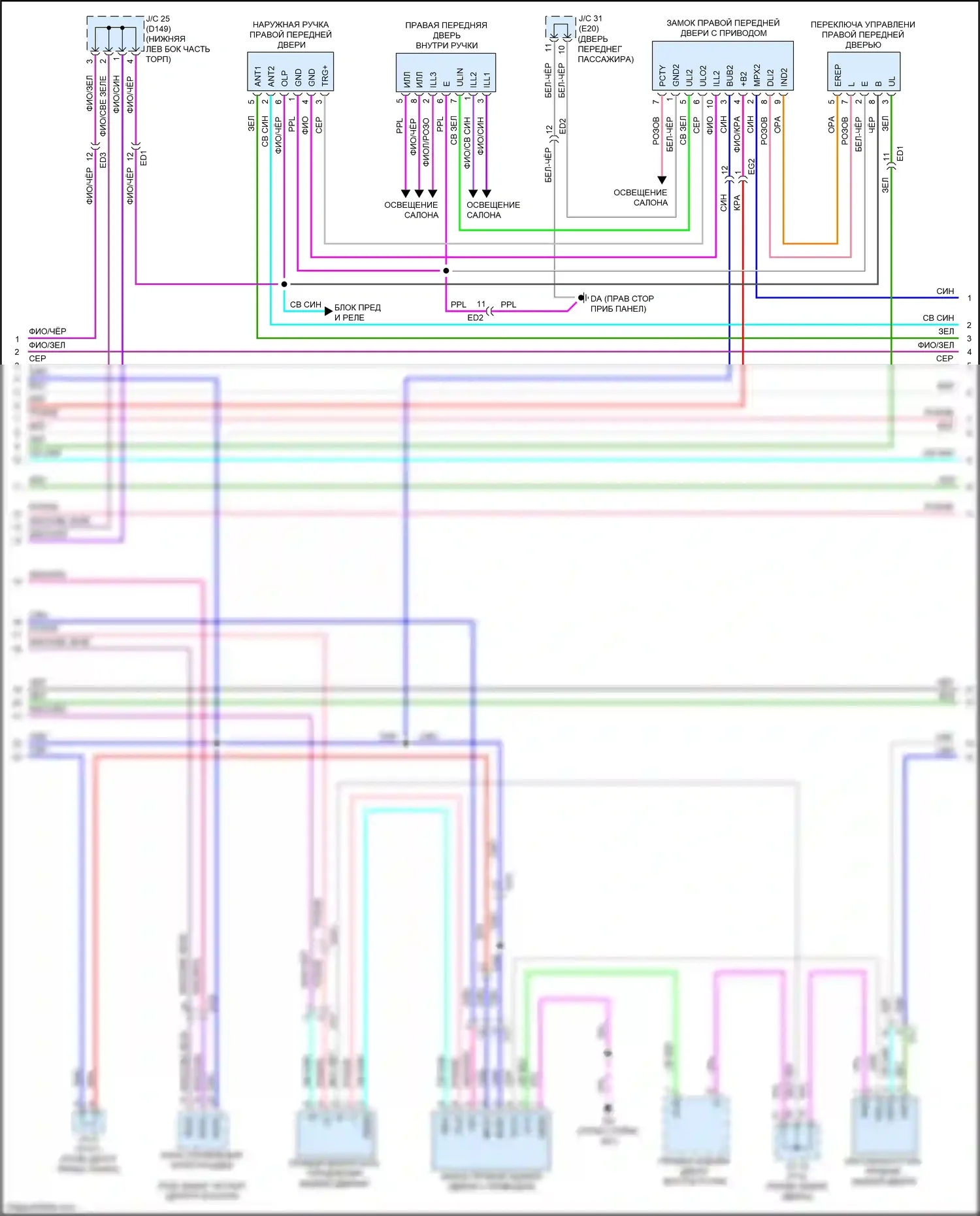 NX Lexus AZ20 (2021-2024): Электросхема центрального замка (6 из 8) 