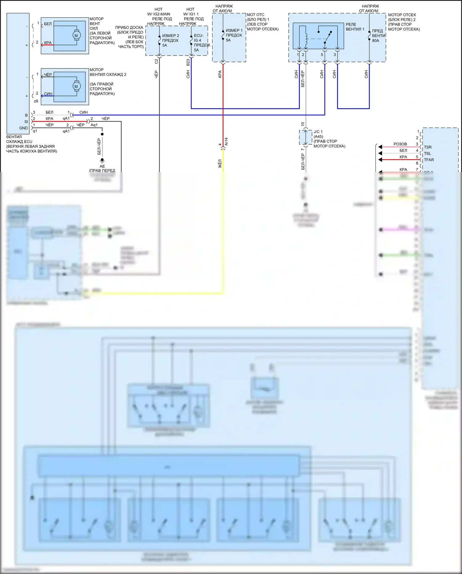 NX Lexus Z10 рестайлинг (2017-2021): Электросхема климат контроля (4 из 4) 