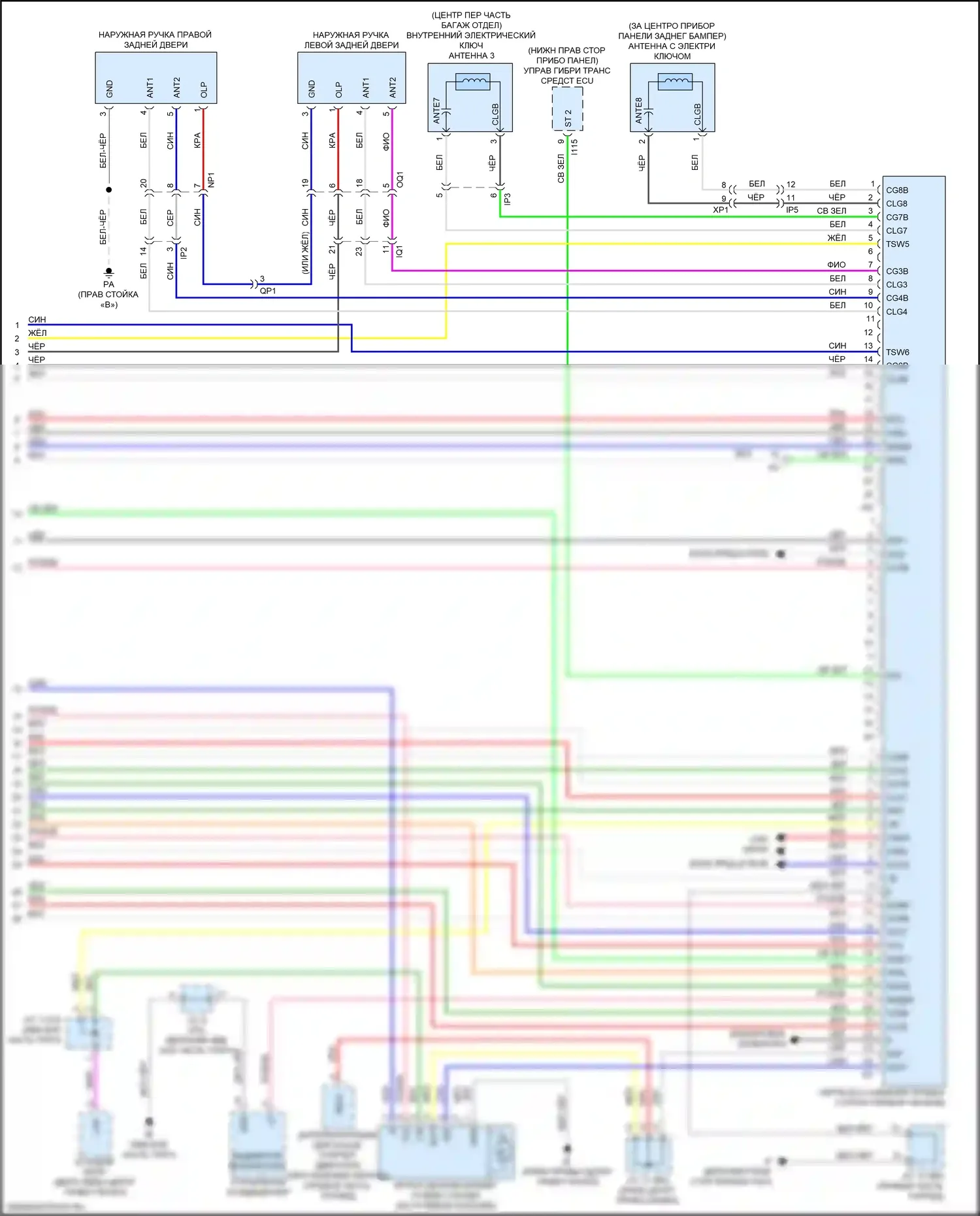 NX Lexus Z10 рестайлинг (2017-2021): Электросхема центрального замка (7 из 7) 