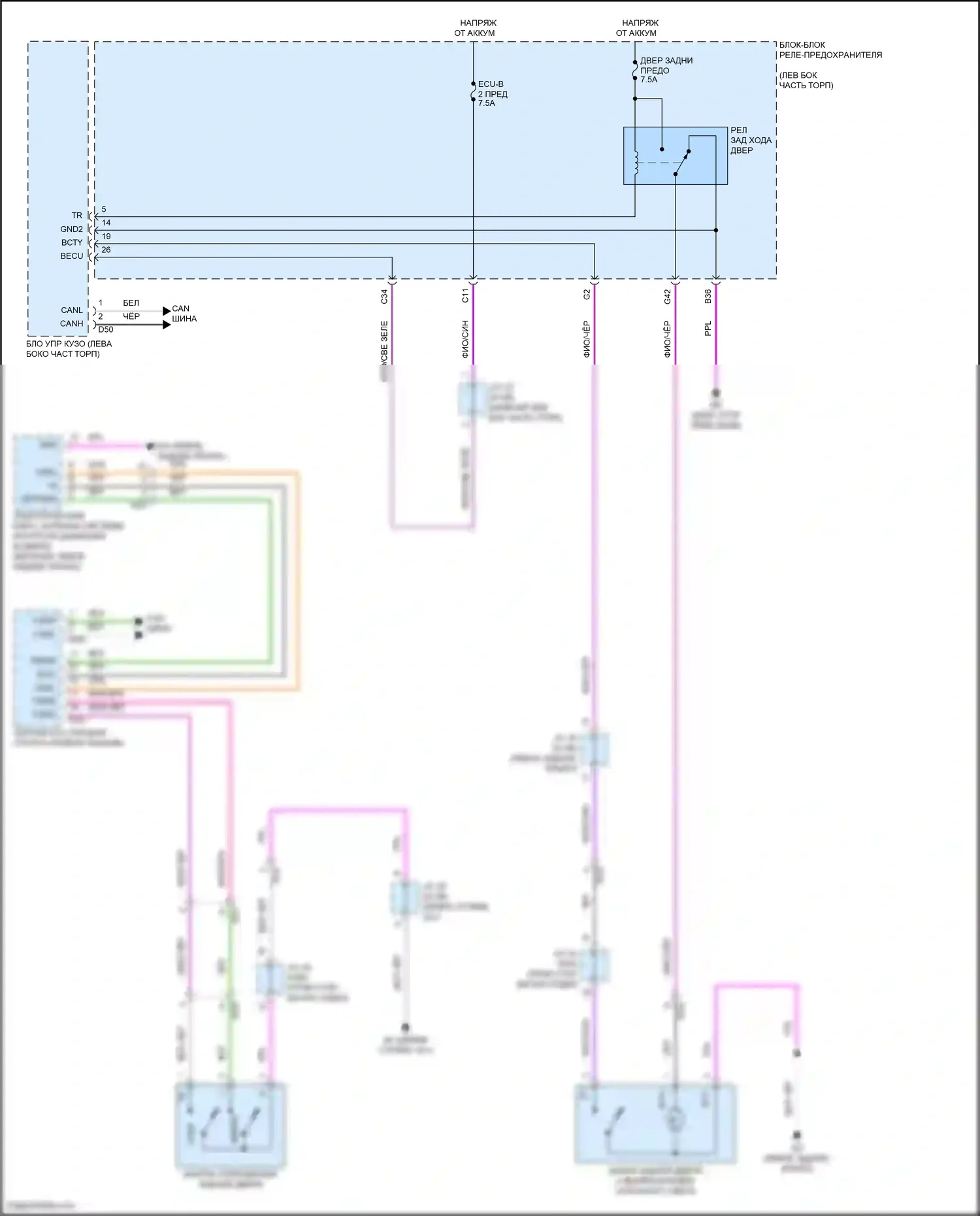NX Lexus Z10 (2014-2017): Электросхема открывателя задней двери, без задней двери питания 