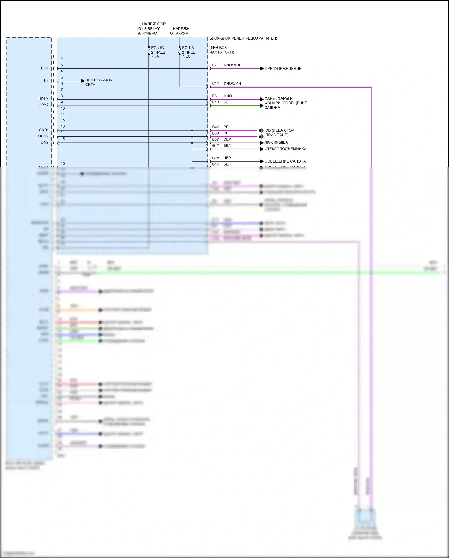 NX Lexus Z10 (2014-2017): Электросхема эбу кузова (1 из 3) 