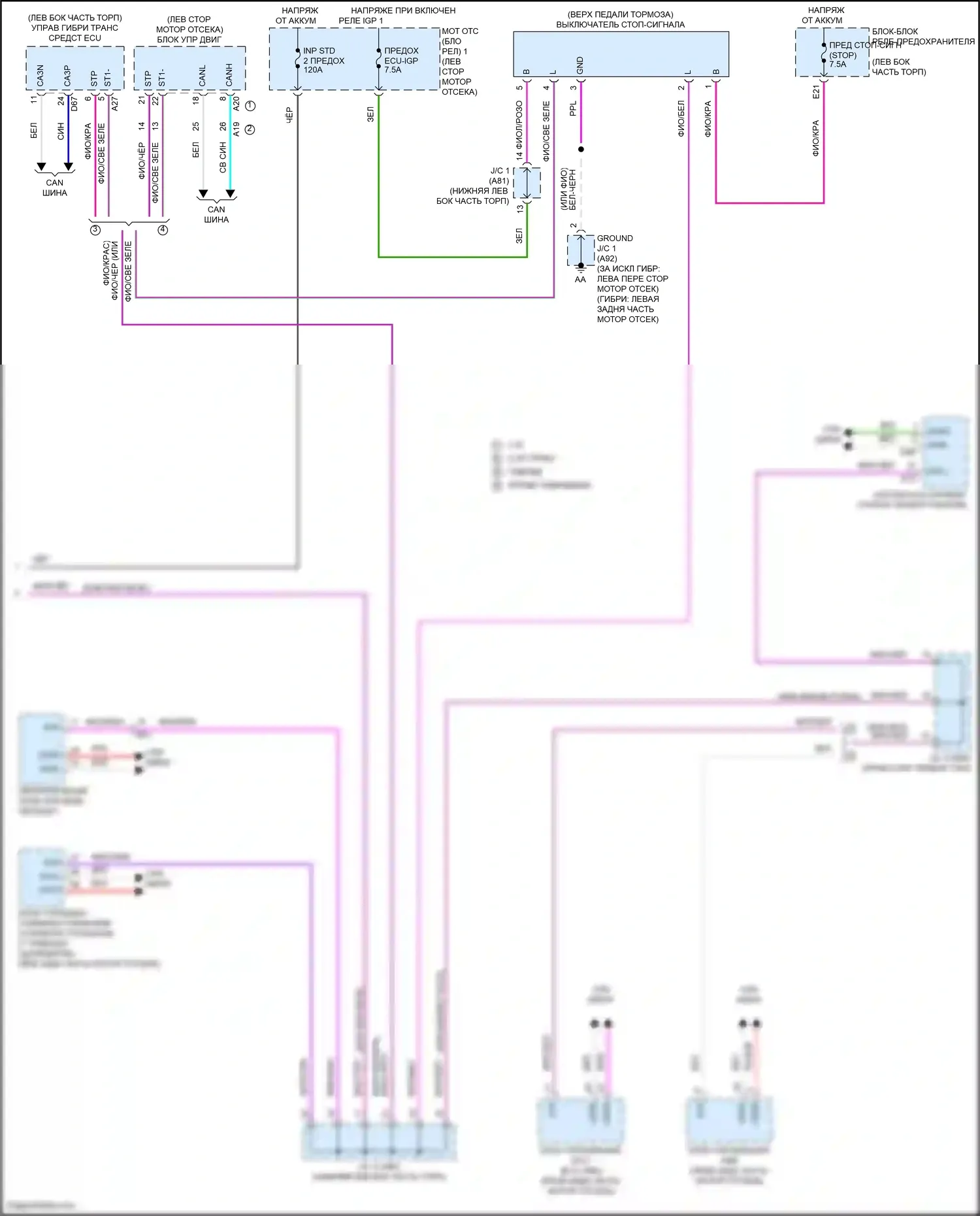 NX Lexus Z10 (2014-2017): Электросхема фар и фонарей (5 из 5) 