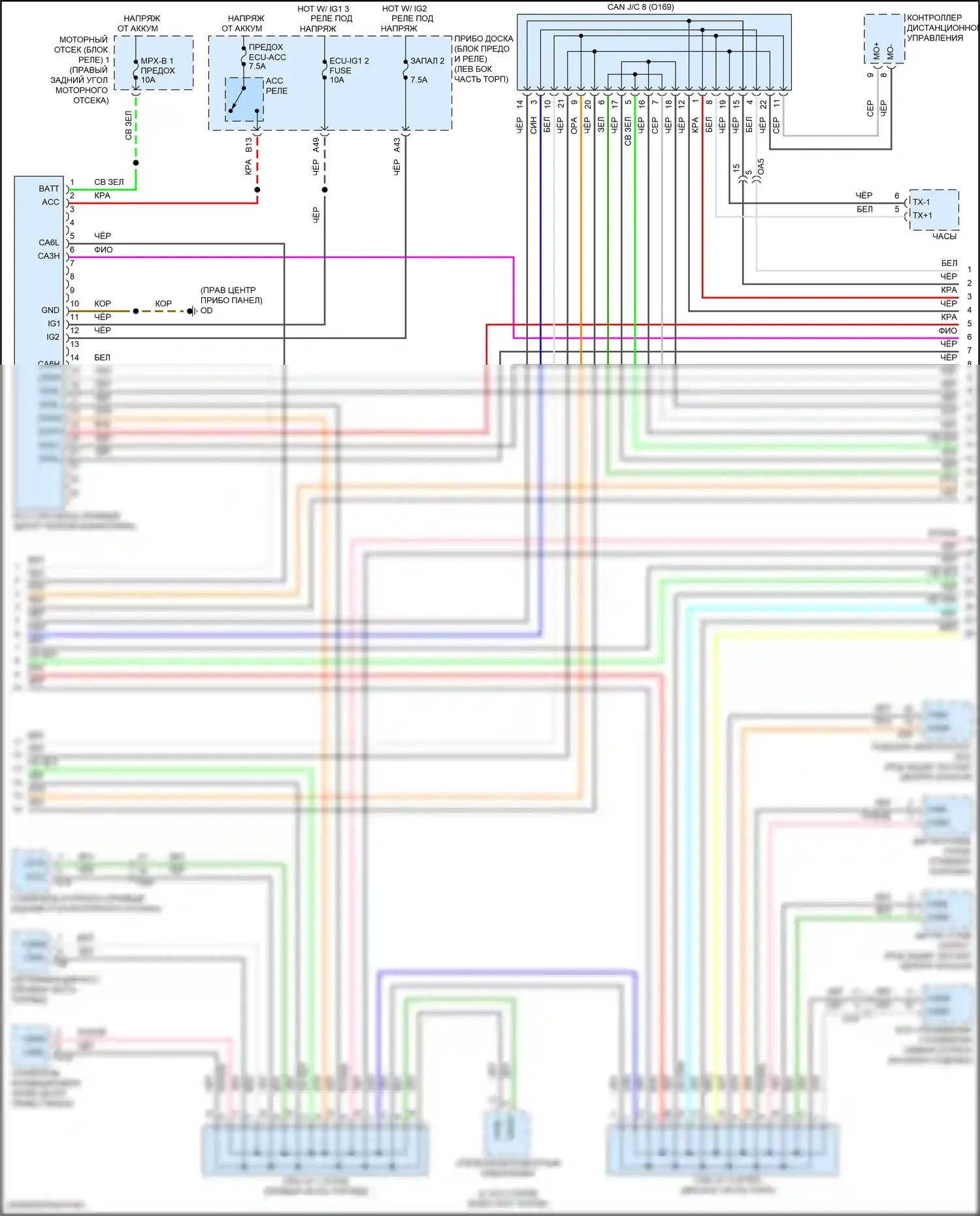 RC Lexus I рестайлинг (2018-2024): Can шина электросхема (2 из 4) 